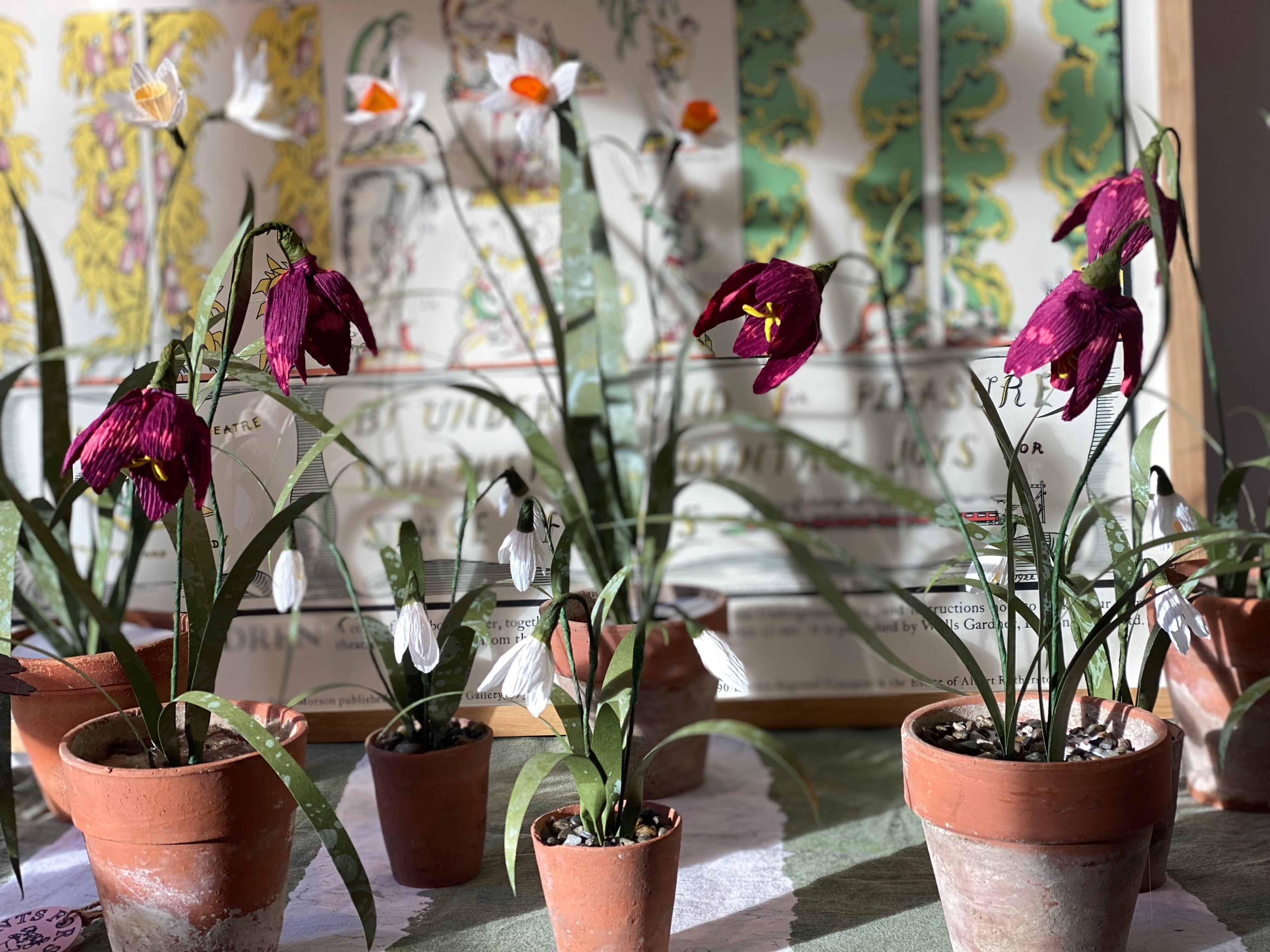 Curator and Maker Christmas - Wednesday 22nd November — Saturday 2nd December