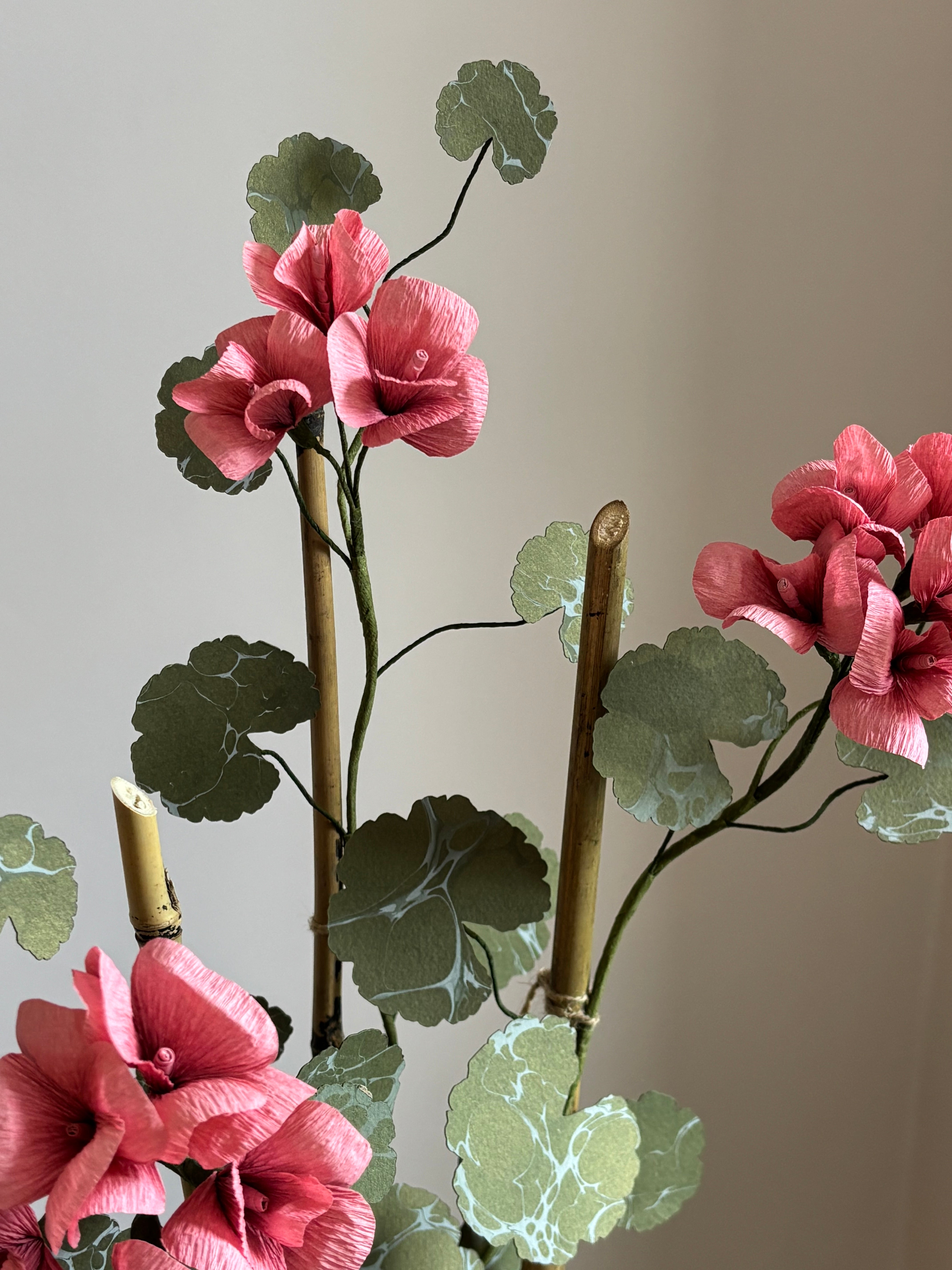 Paper Geranium