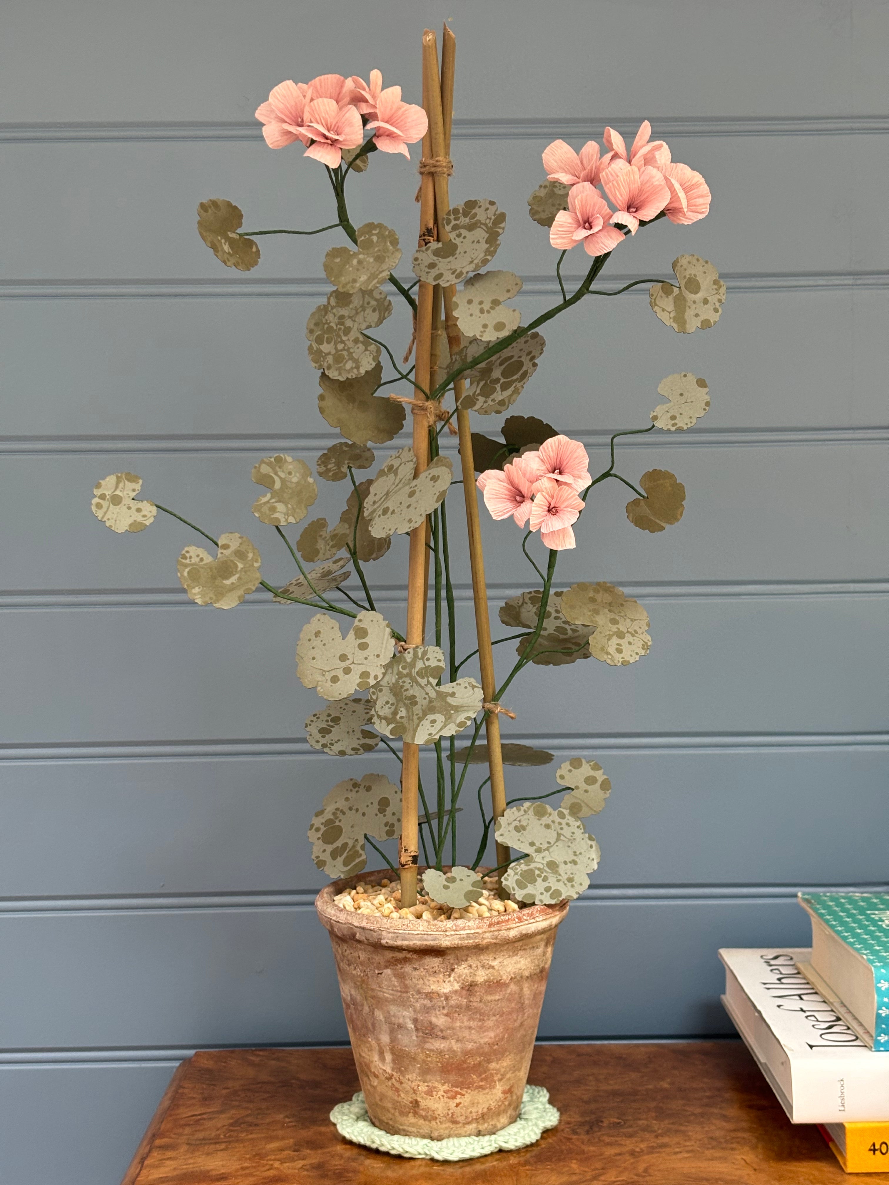 Geranium