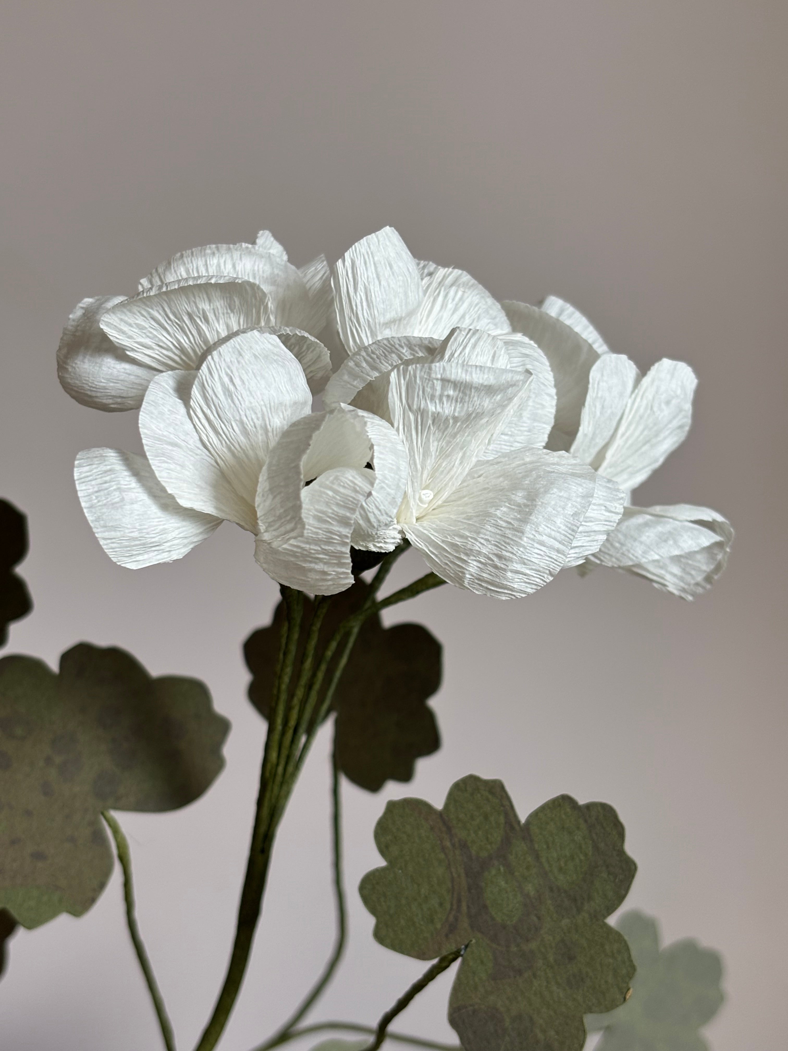 Paper Geranium