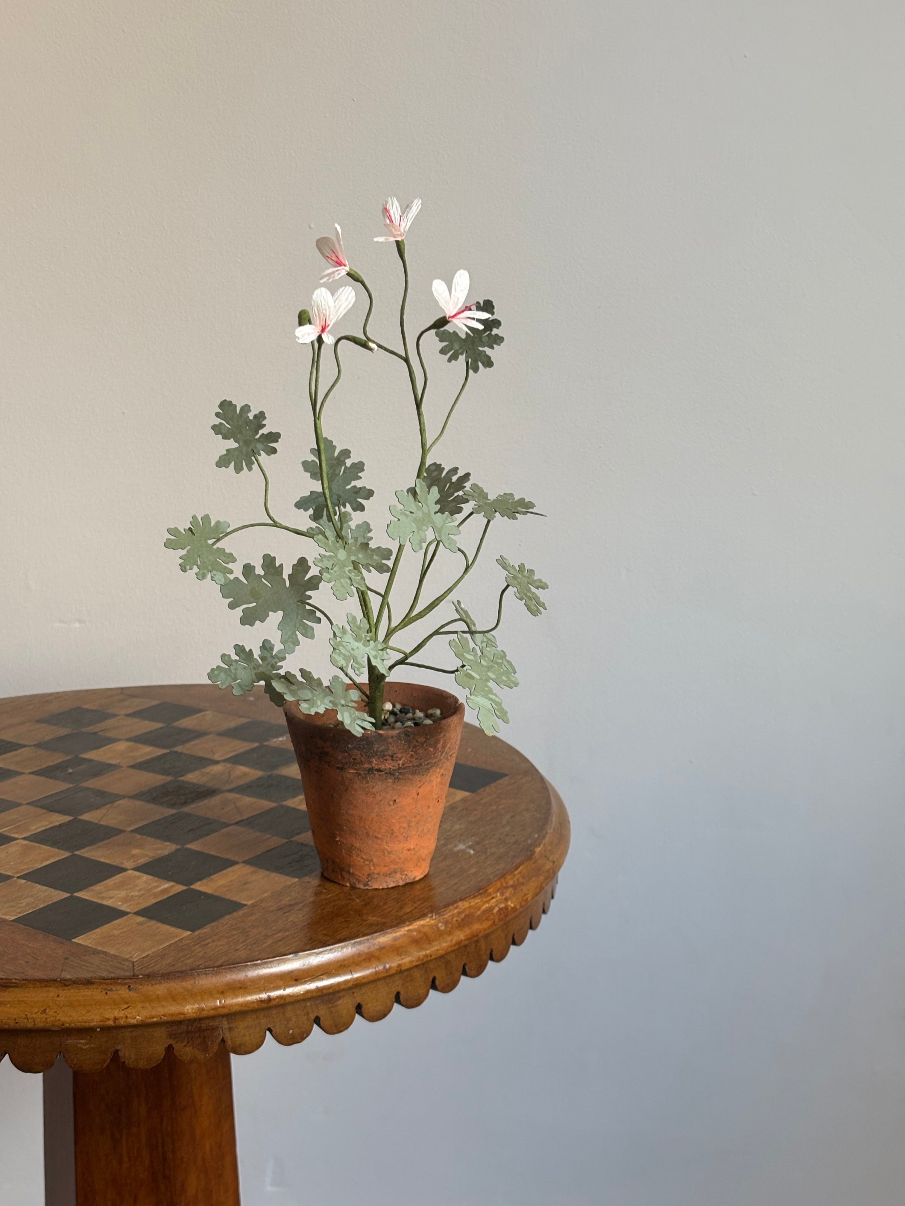 Paper Pelargonium, inspired by Pelargonium radens