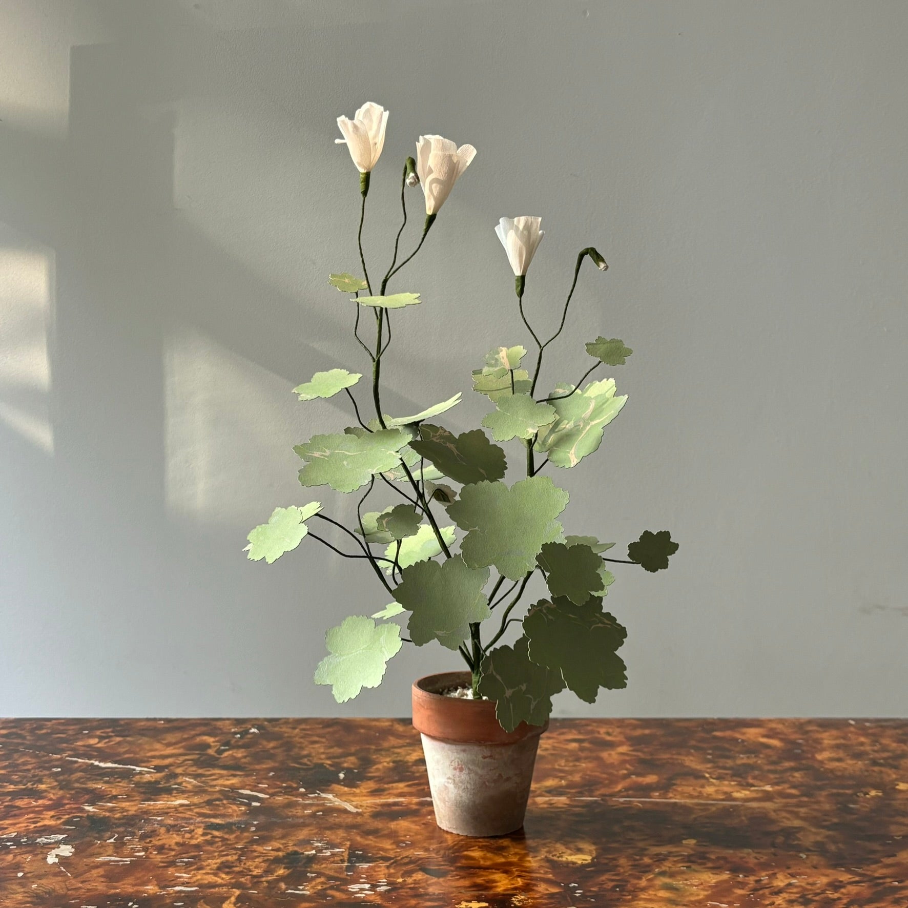 Paper Geranium