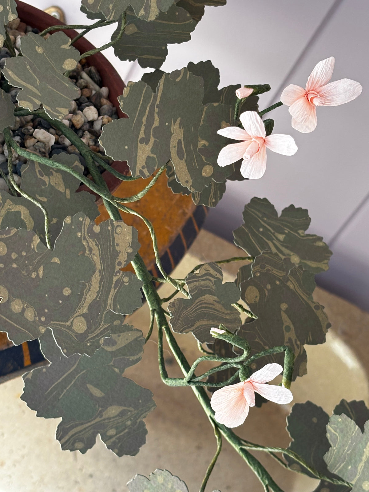 Paper geranium