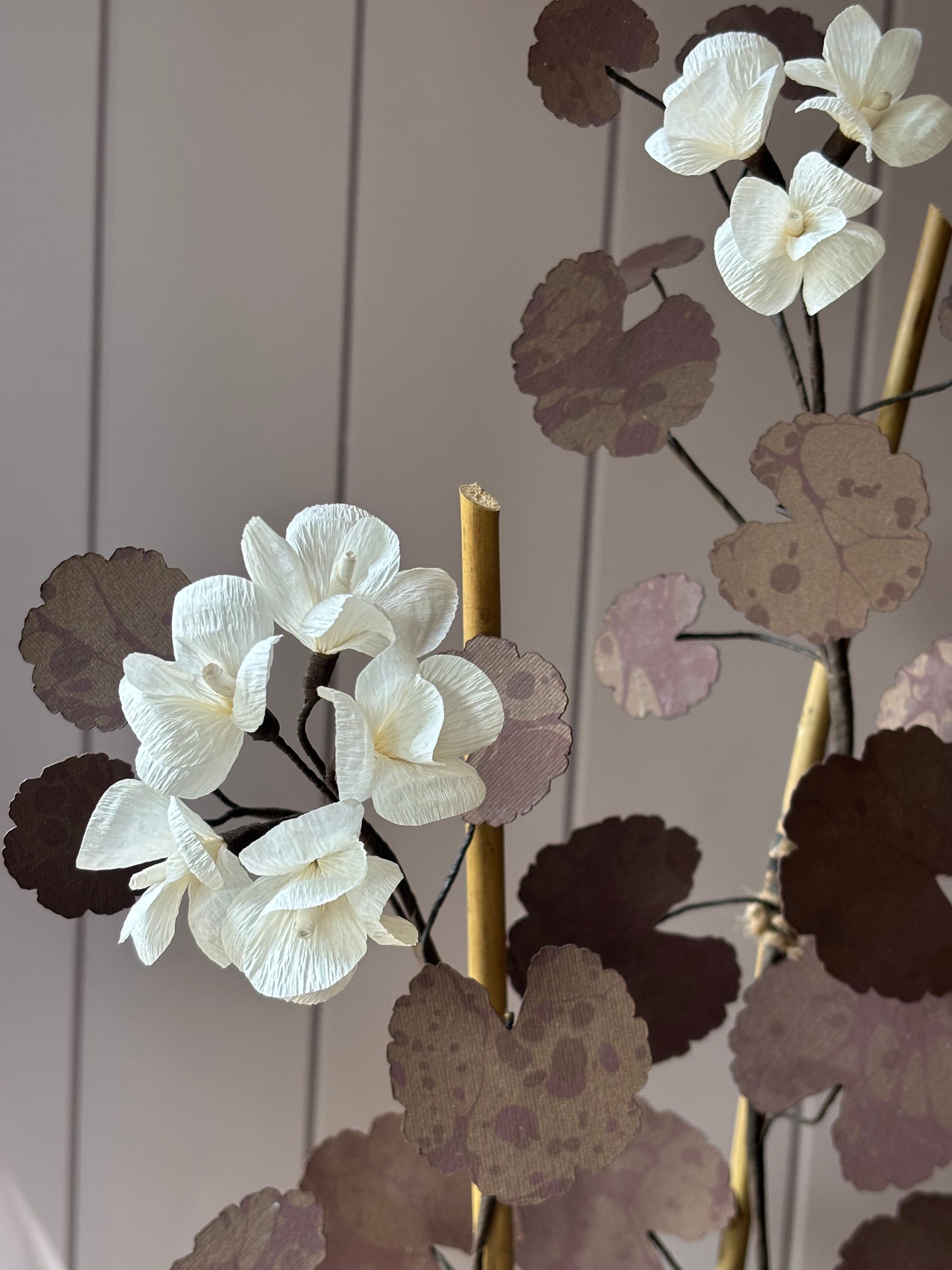 Paper geranium