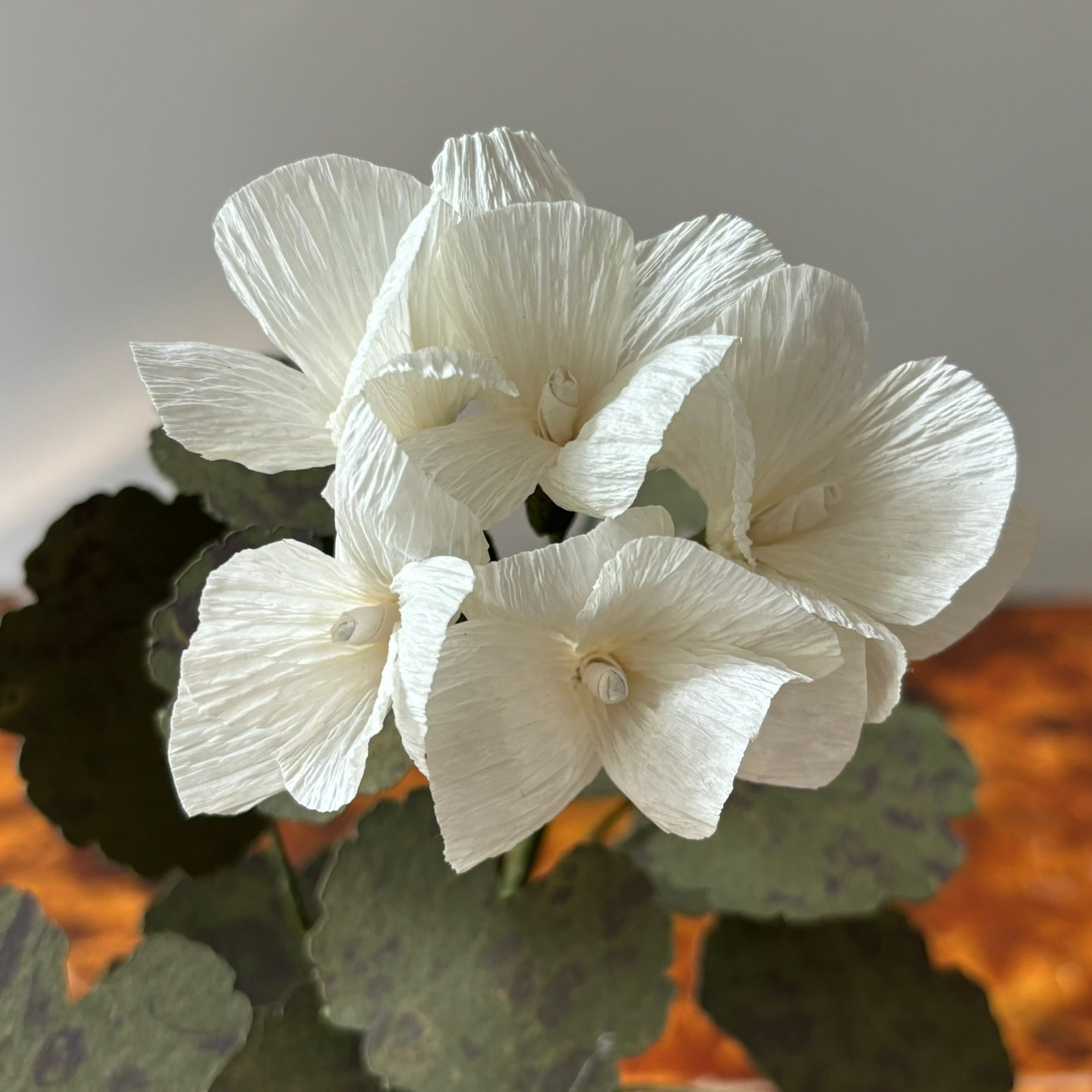 Paper Geranium