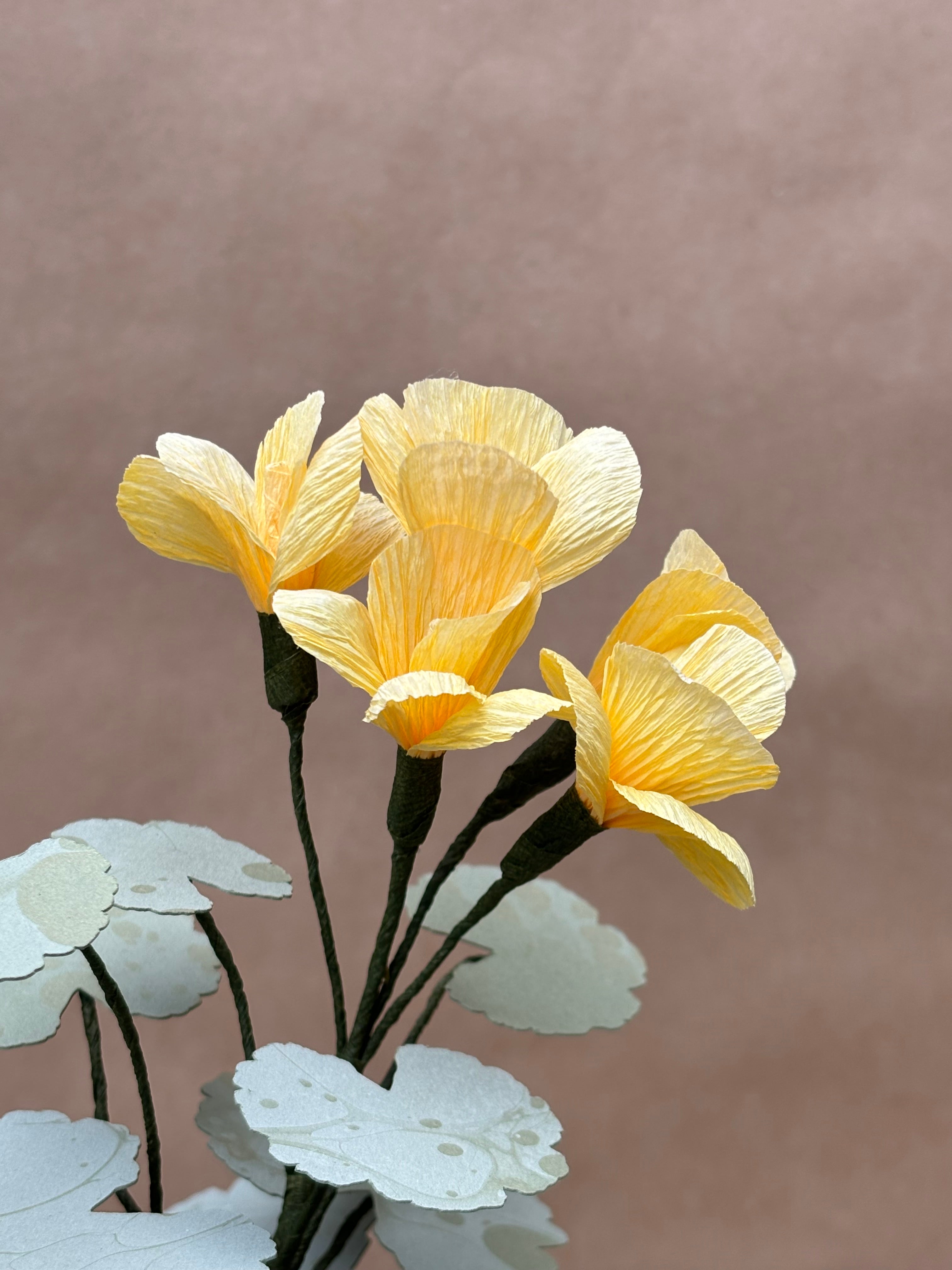 Paper Geranium