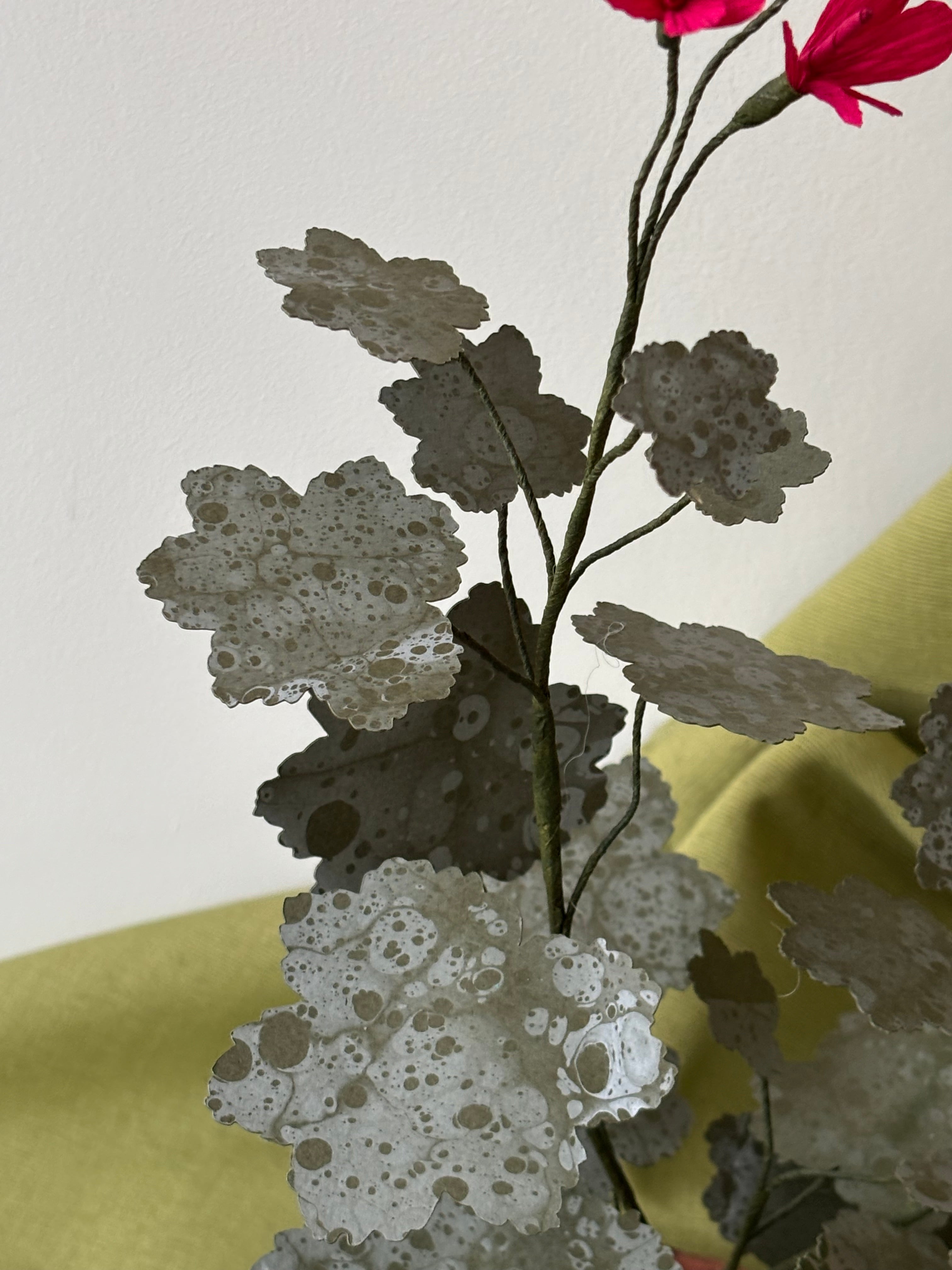 Paper Geranium