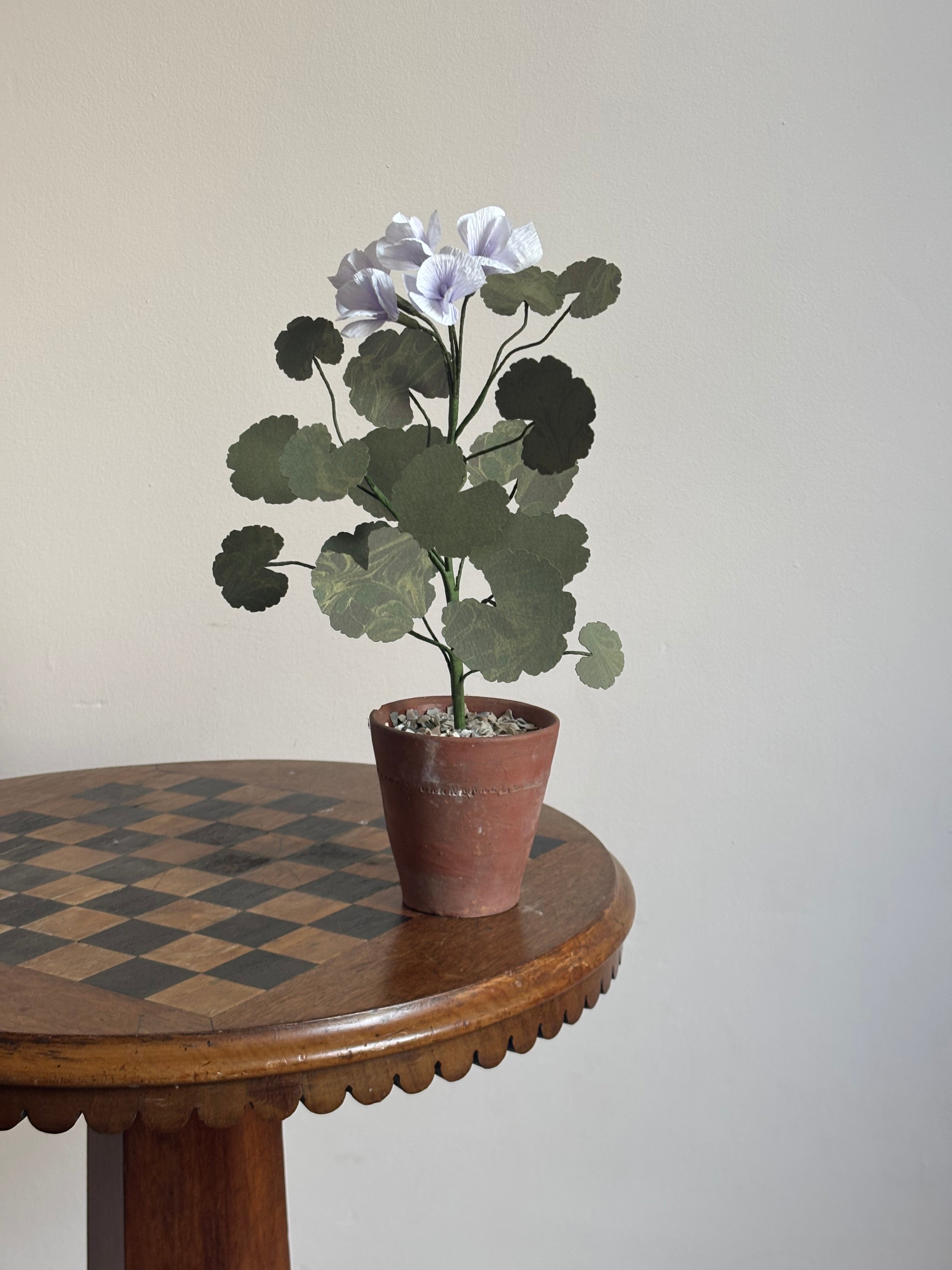 Paper Geranium