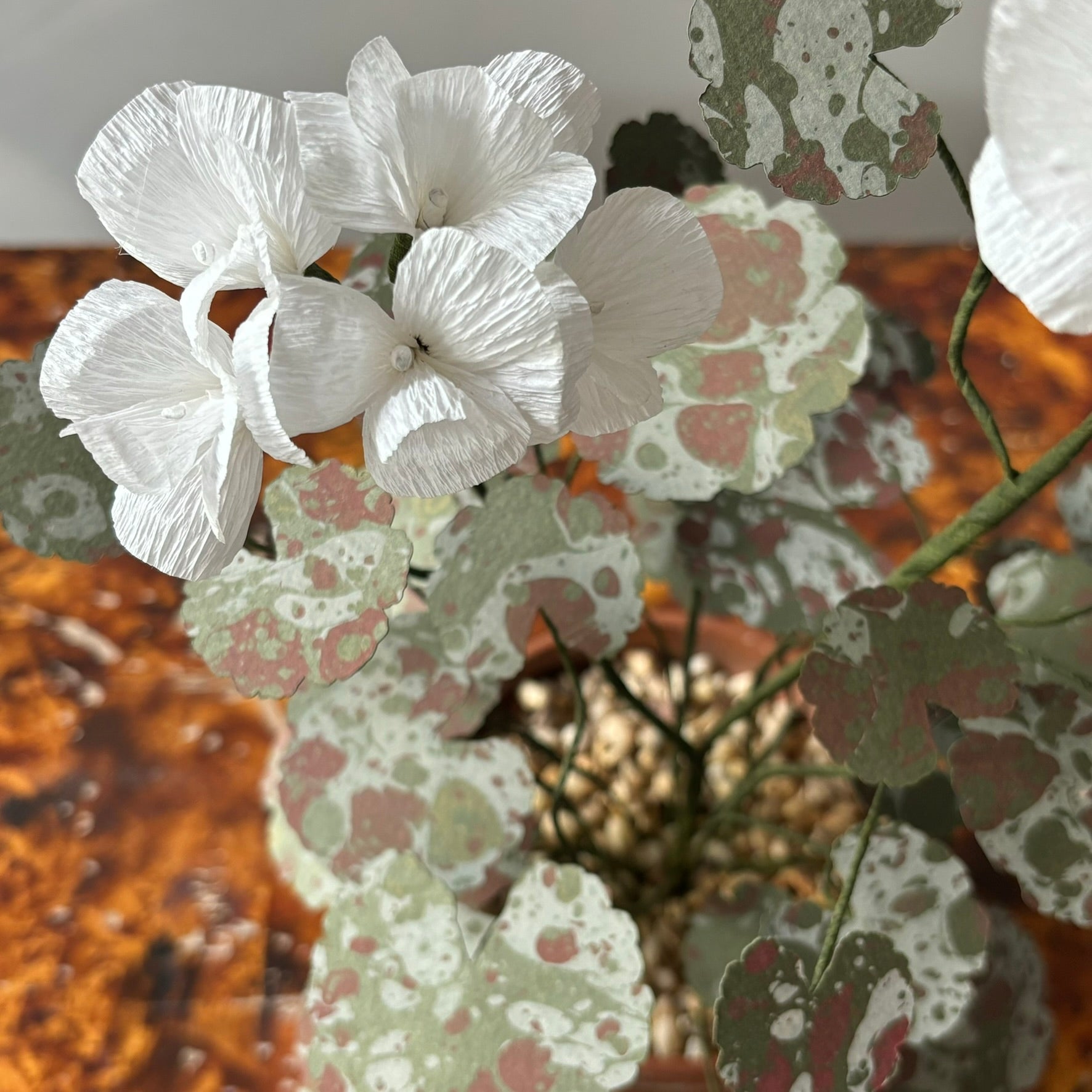 Paper Geranium