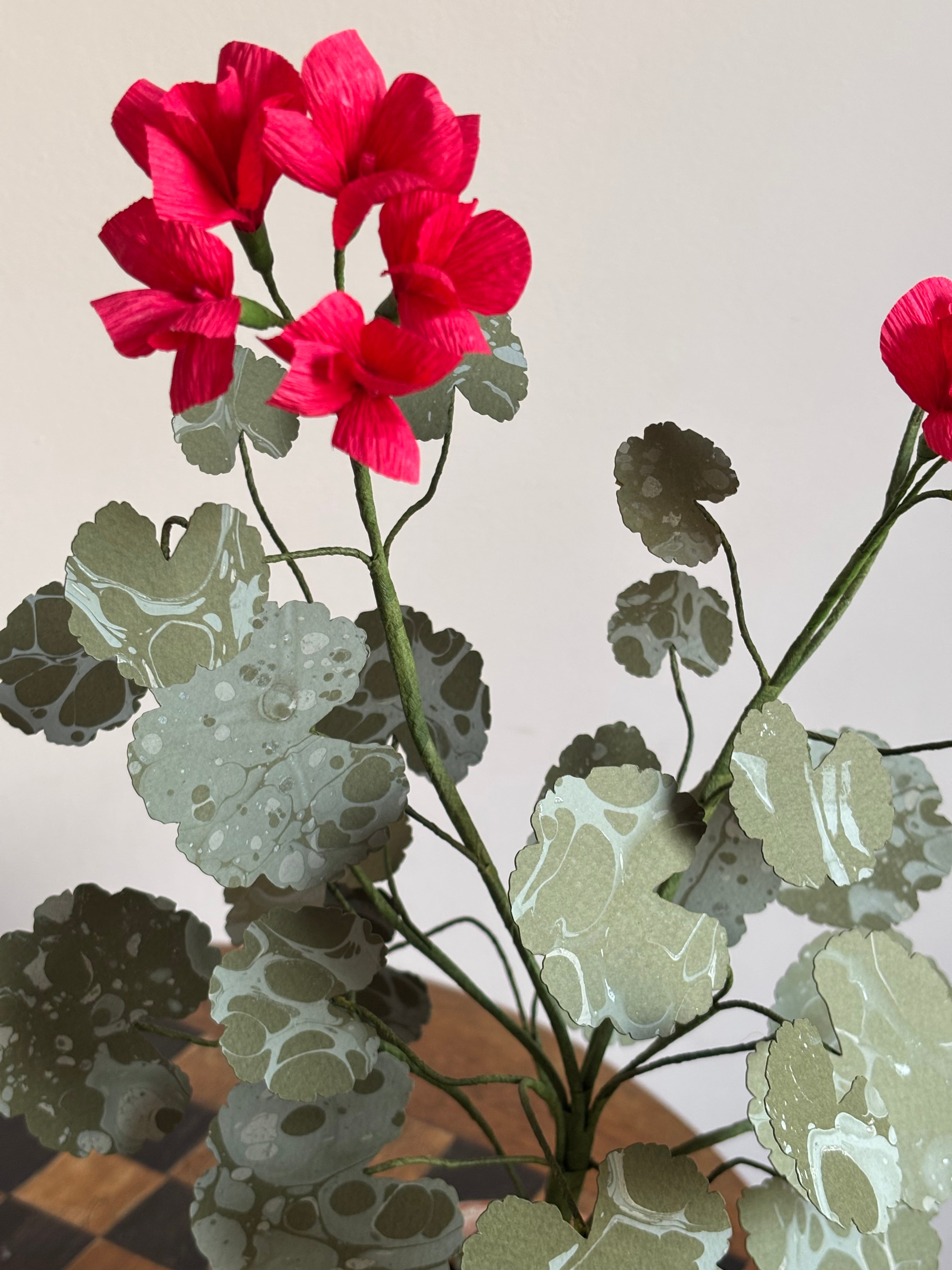 Paper Geranium