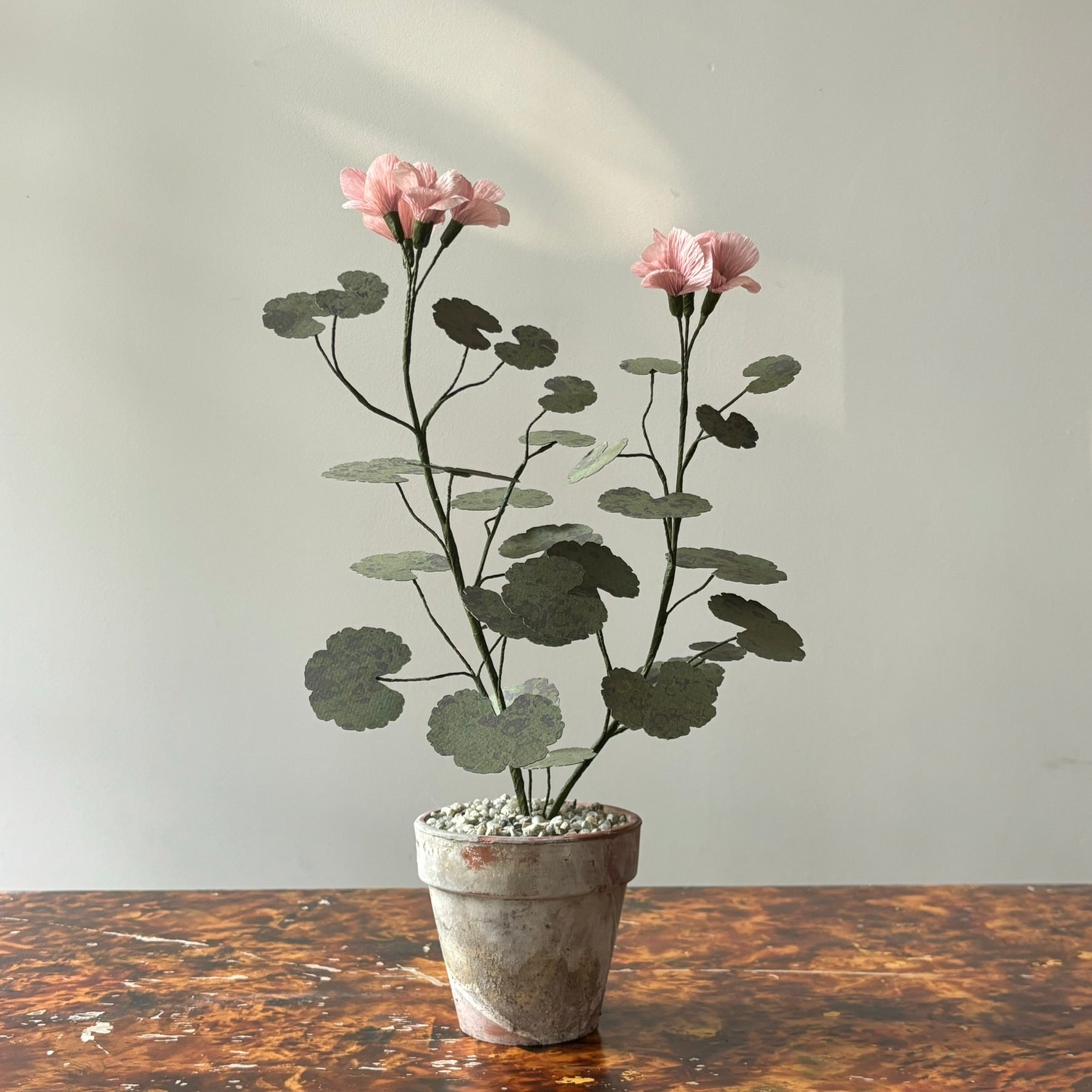 Paper Geranium