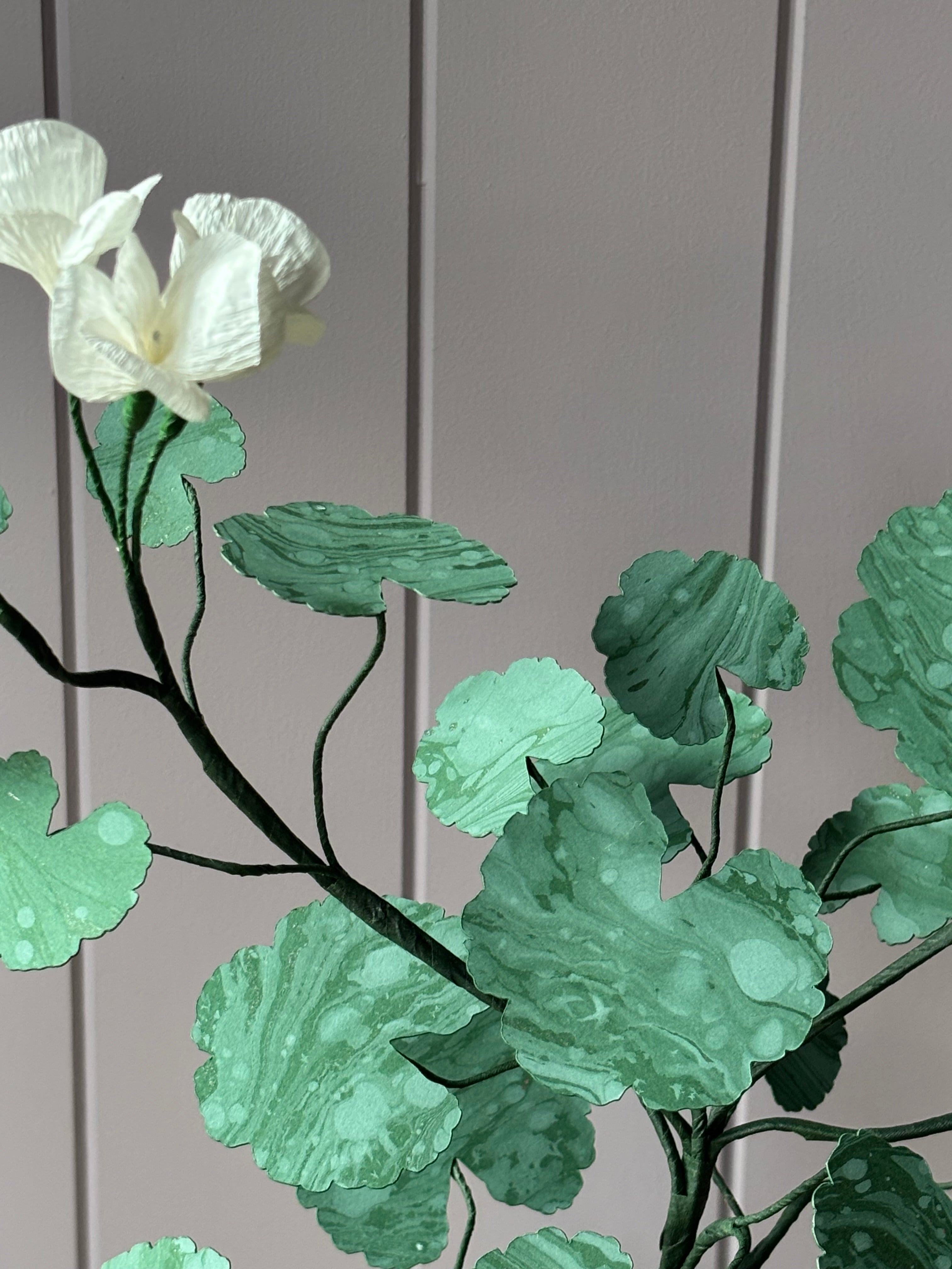 Paper Geranium