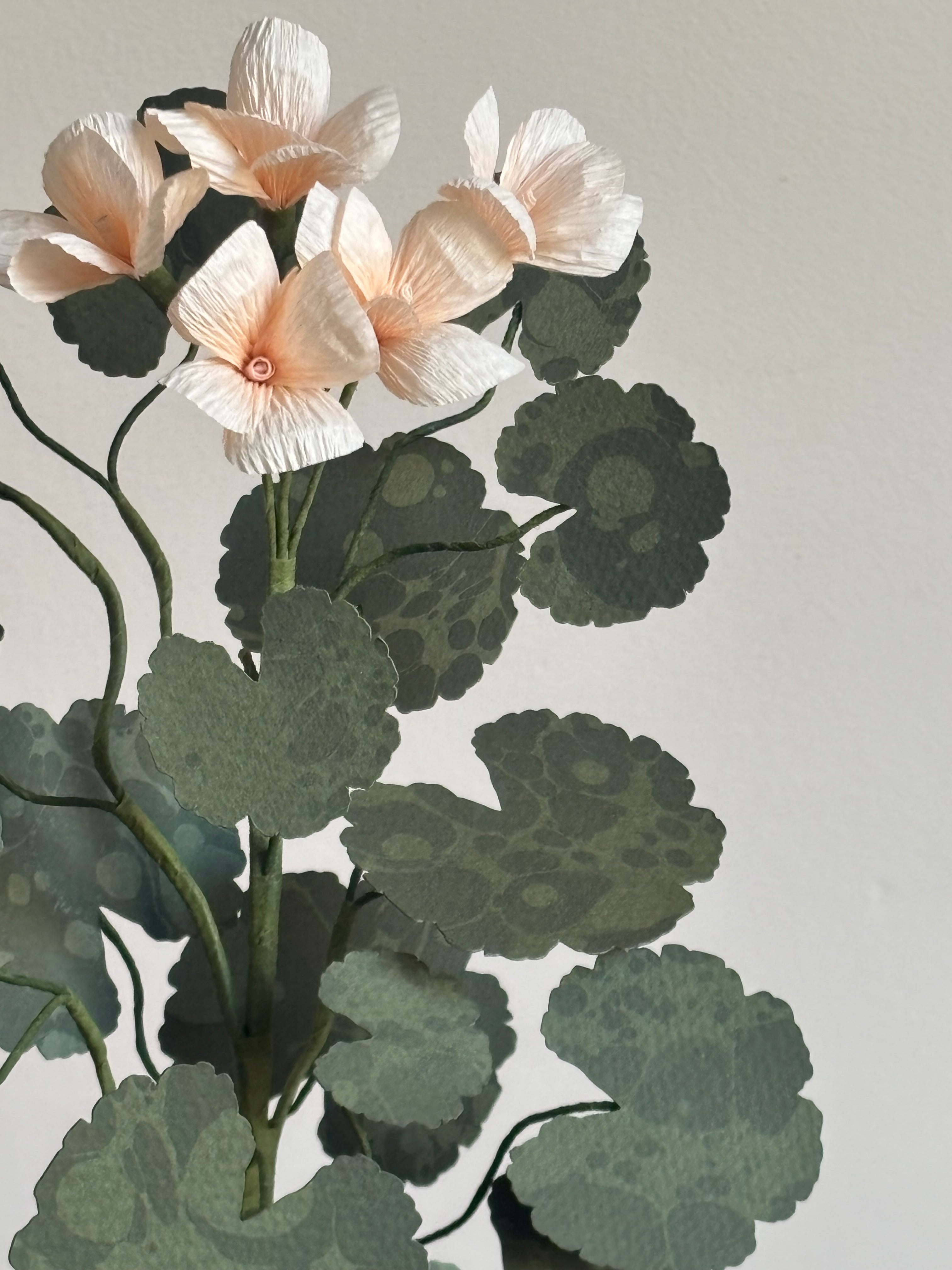 Paper Geranium