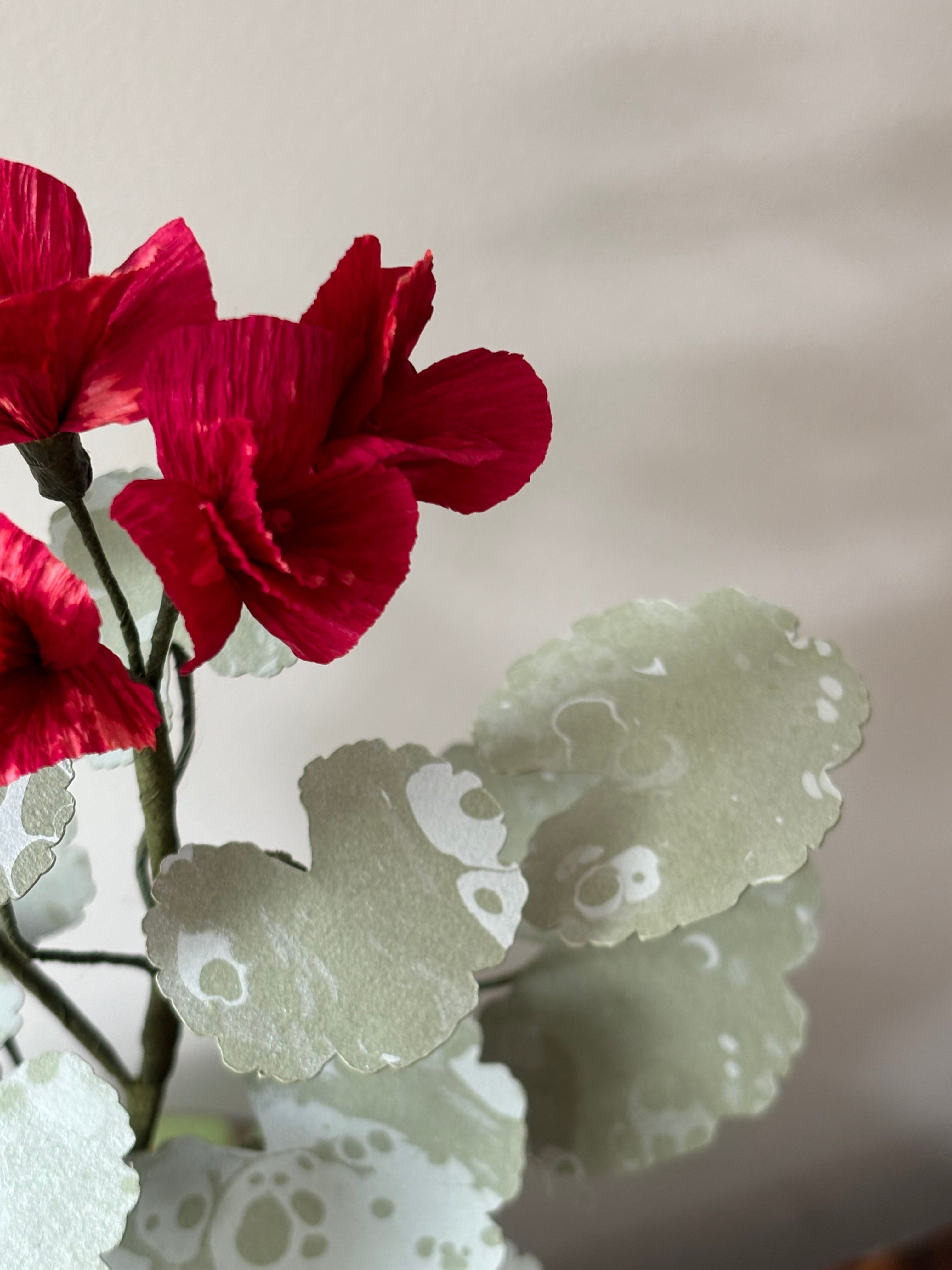 Paper Geranium