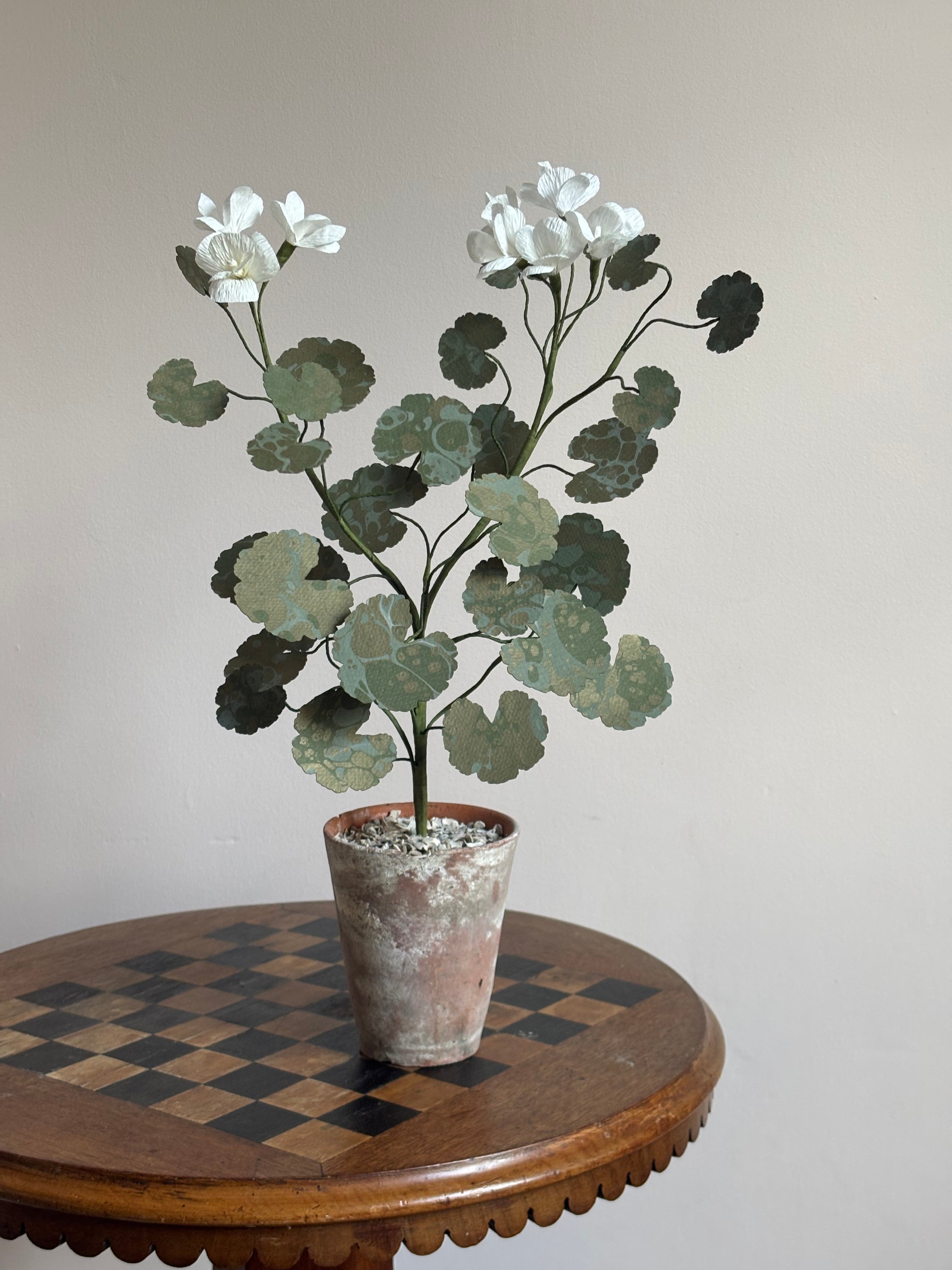 Paper Geranium