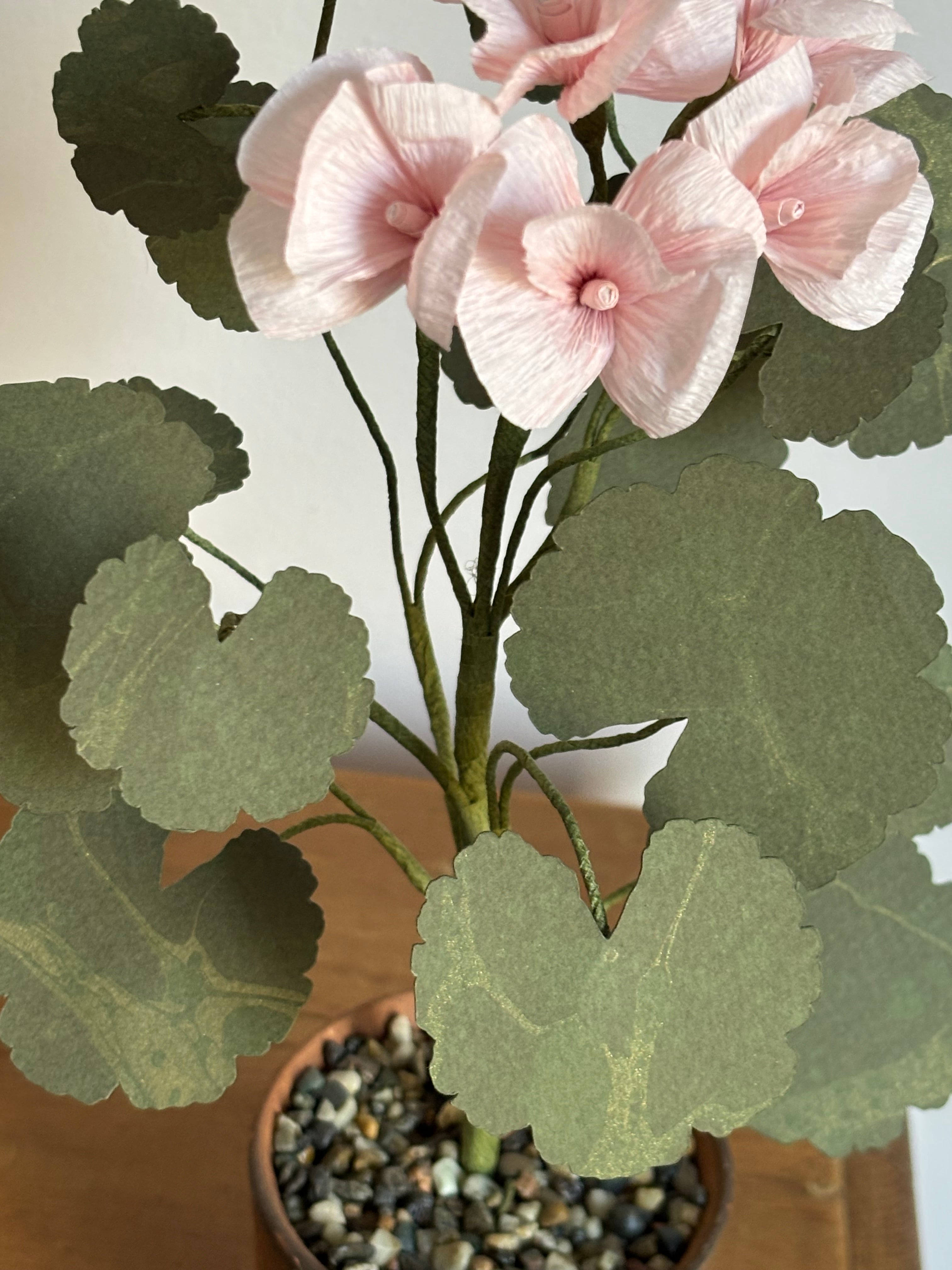 Paper Geranium