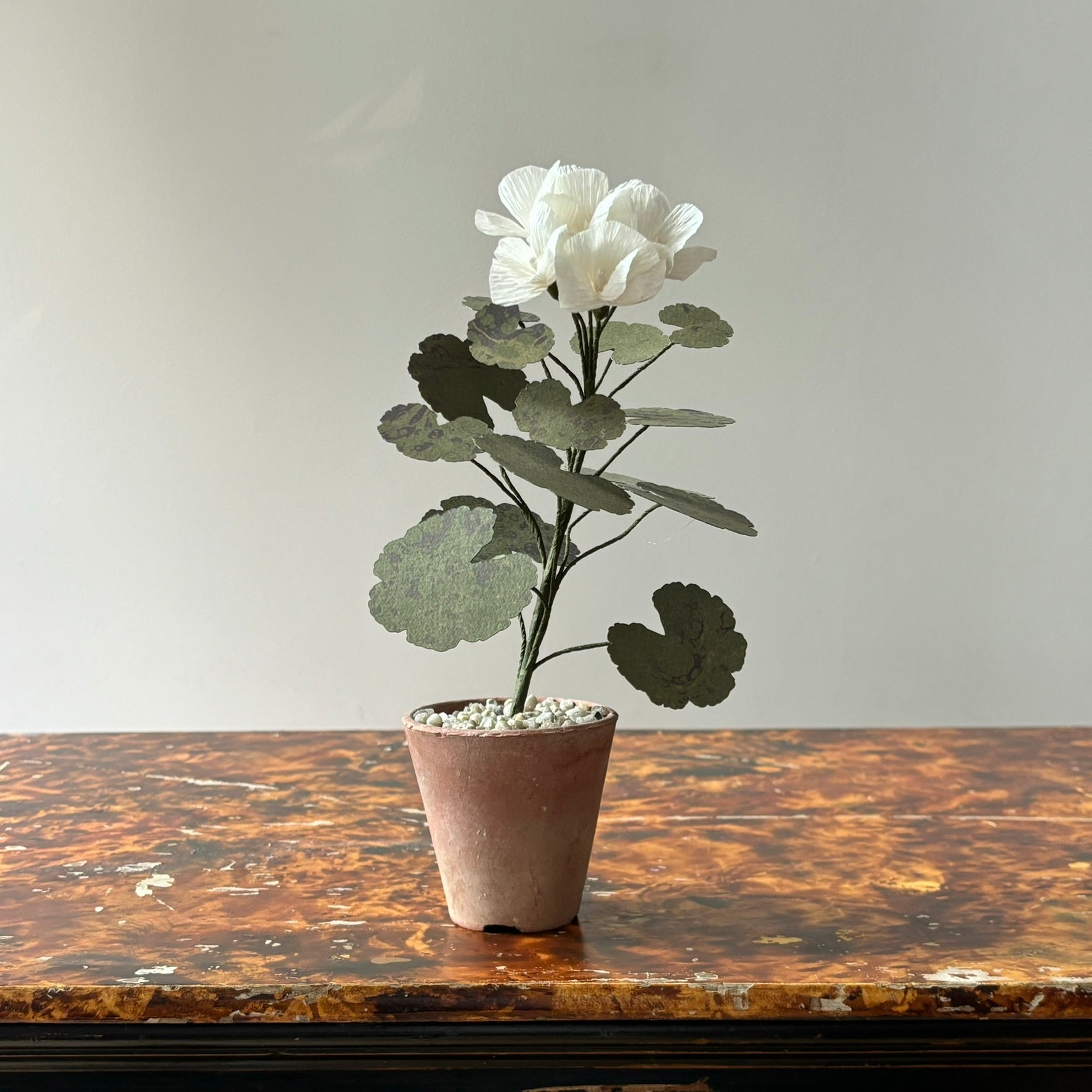 Paper Geranium