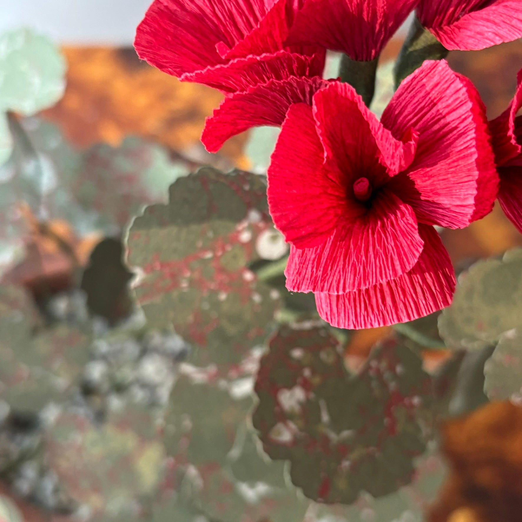 Paper Geranium
