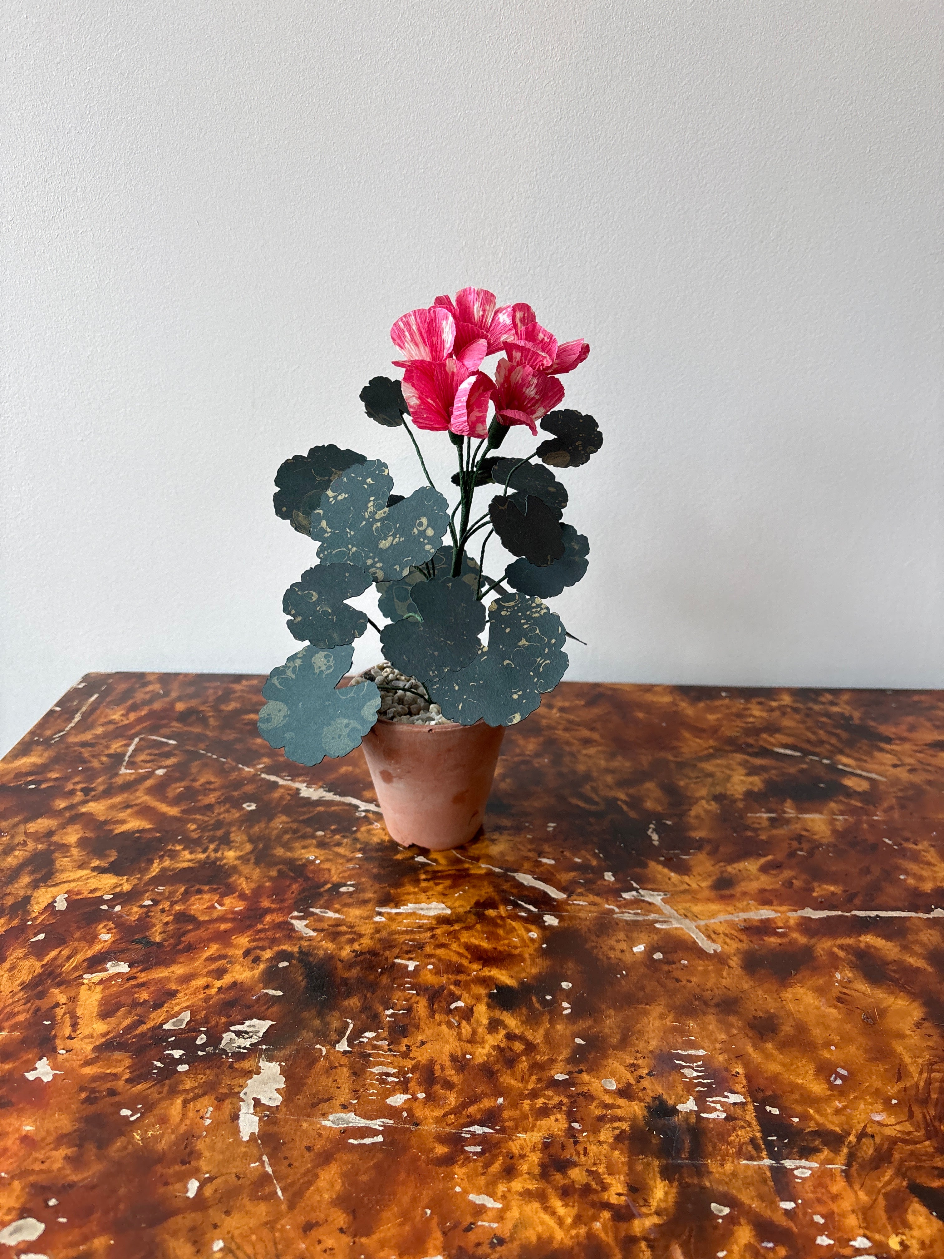 Paper Geranium