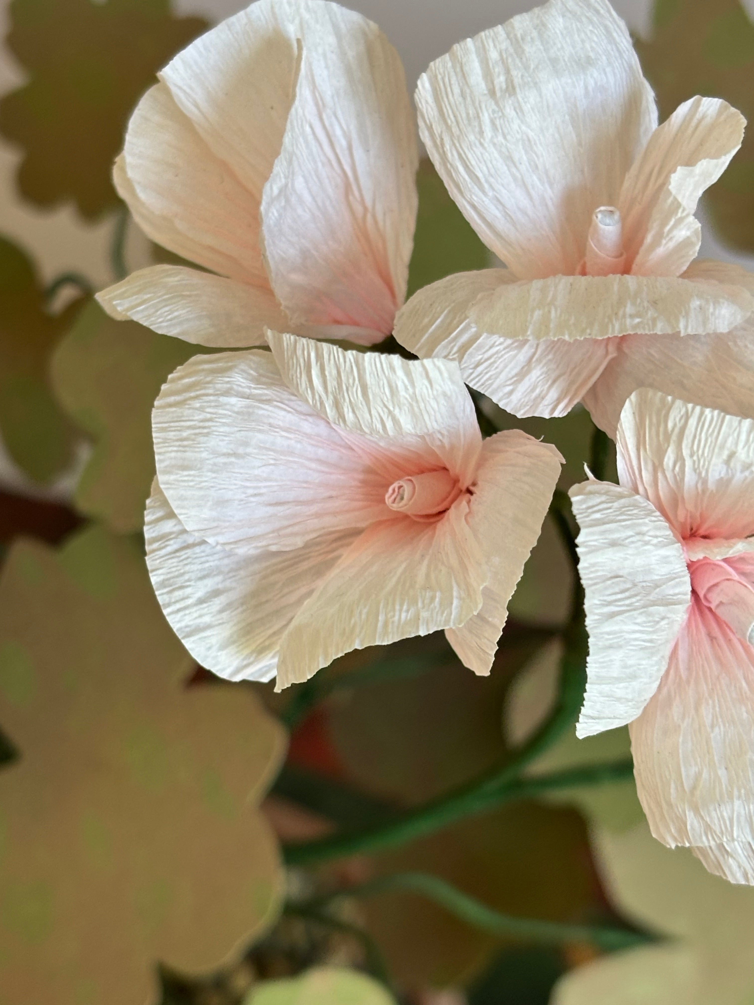 Paper Geranium