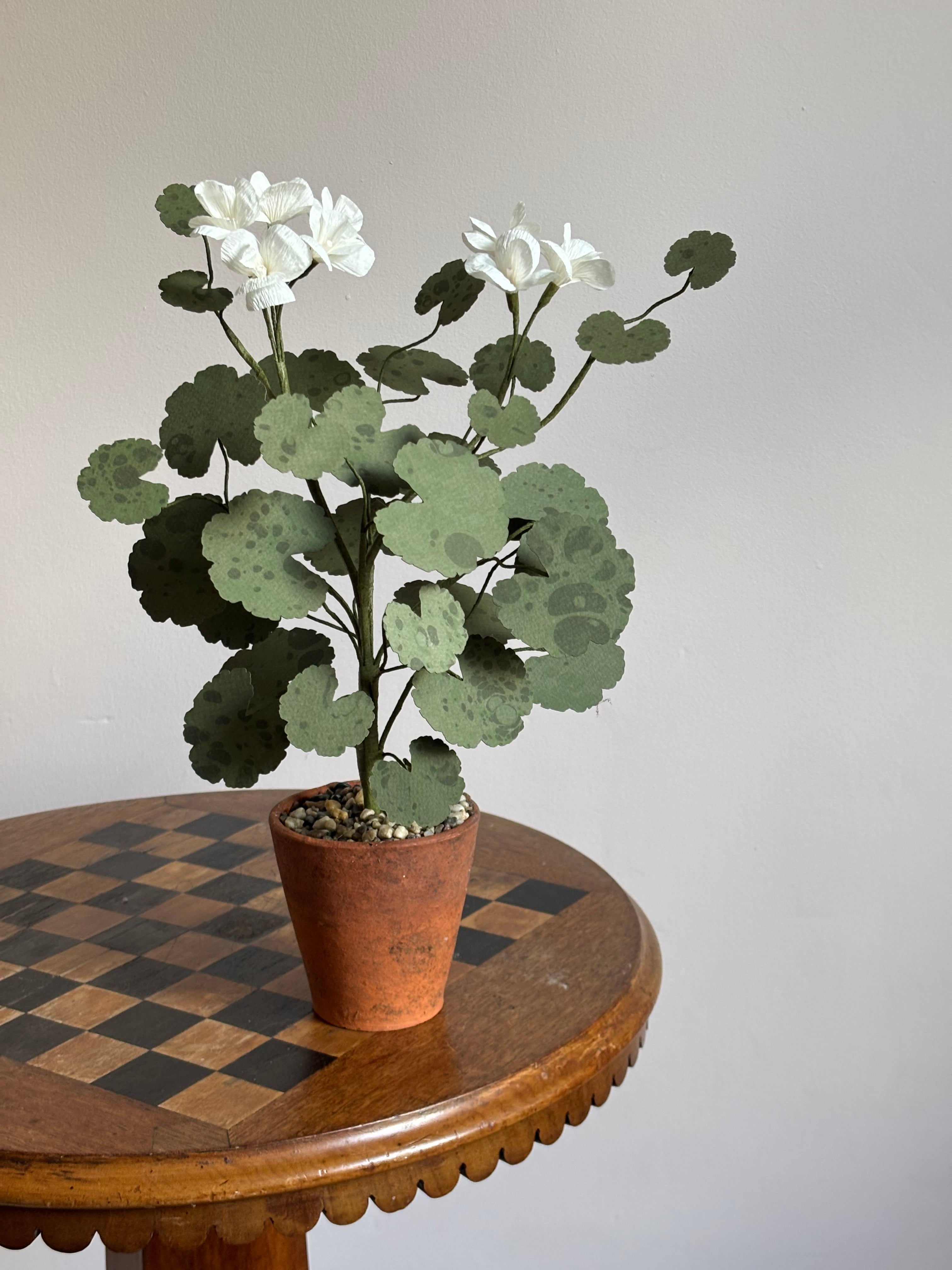 Paper Geranium