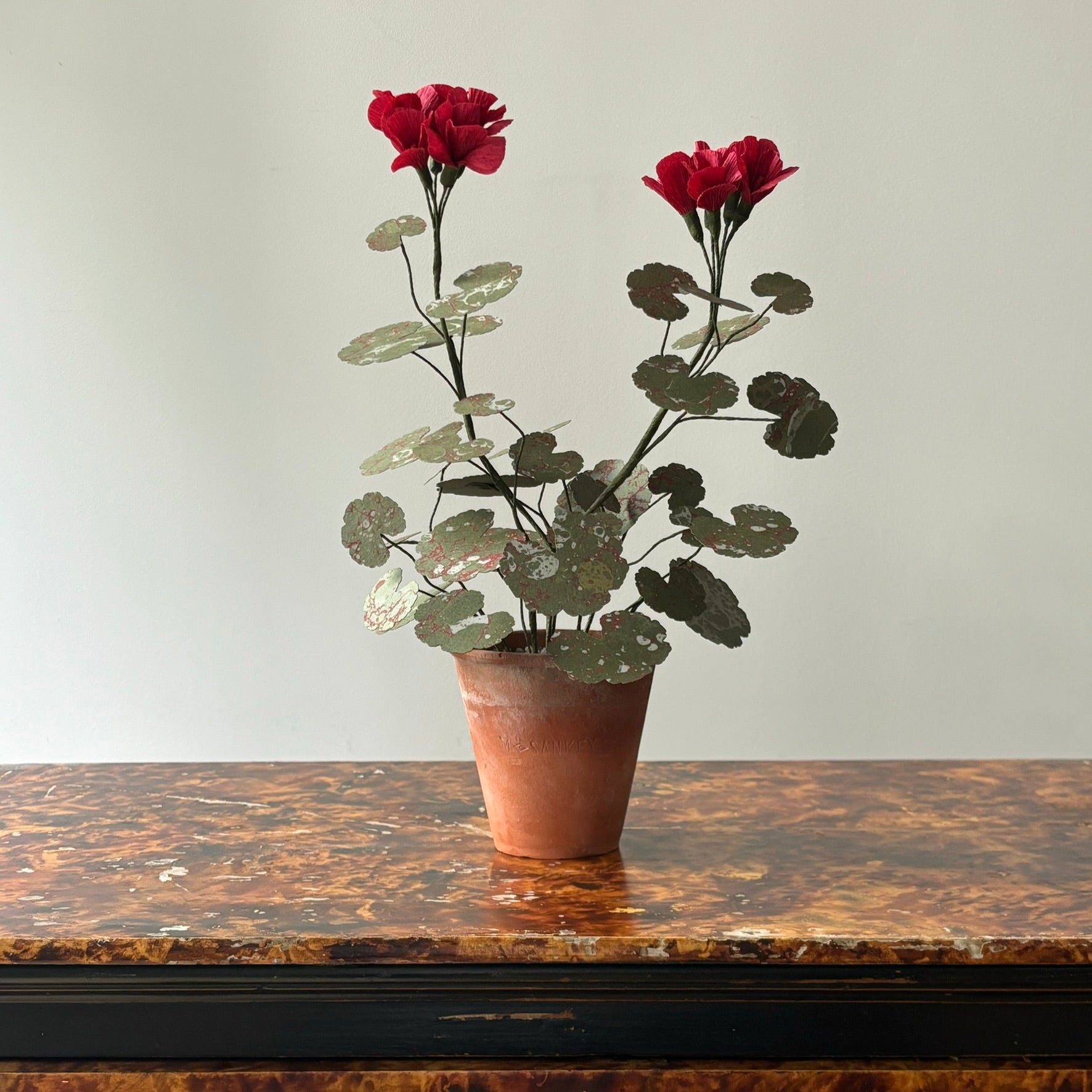Paper Geranium