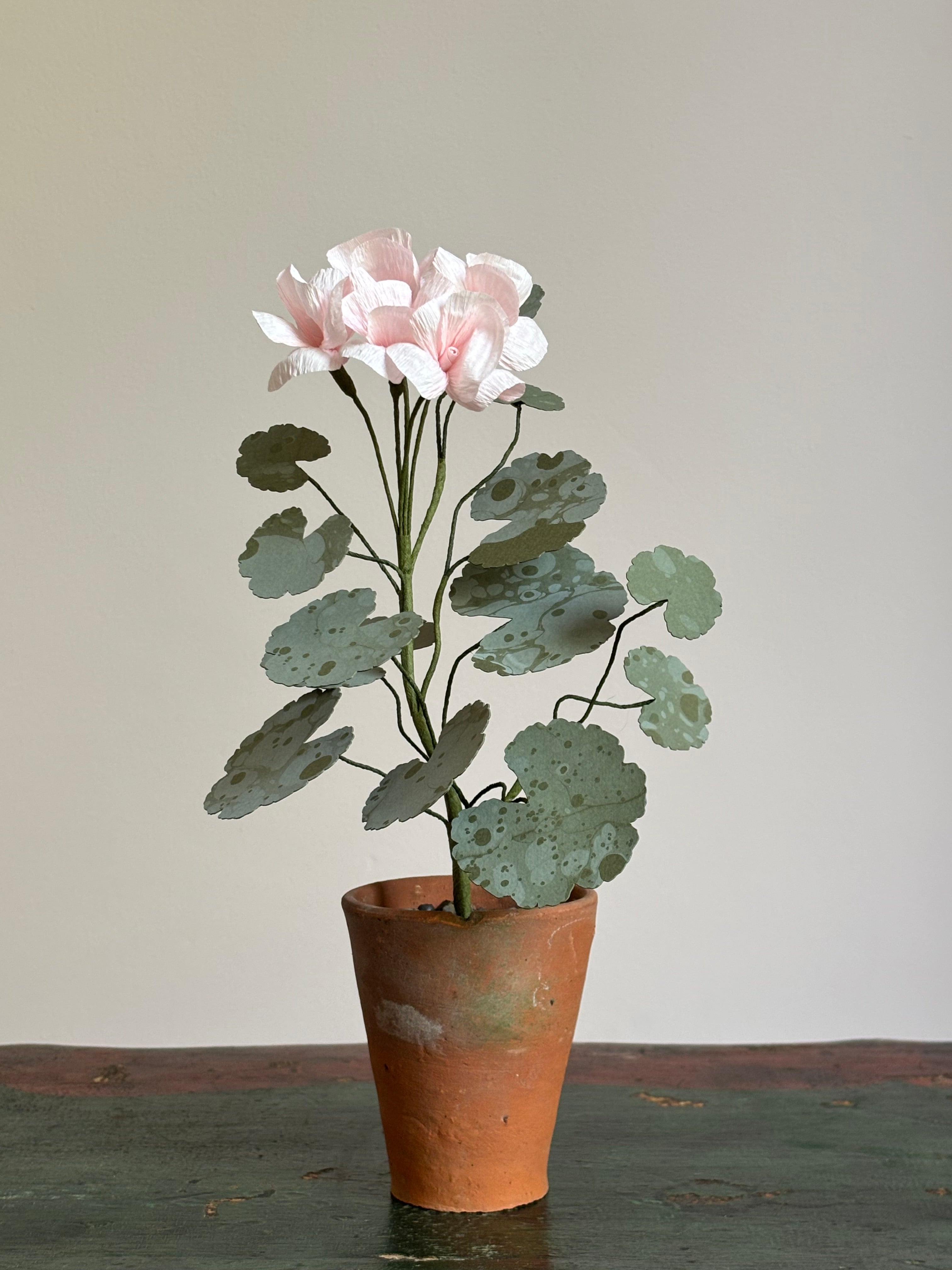 Paper Geranium