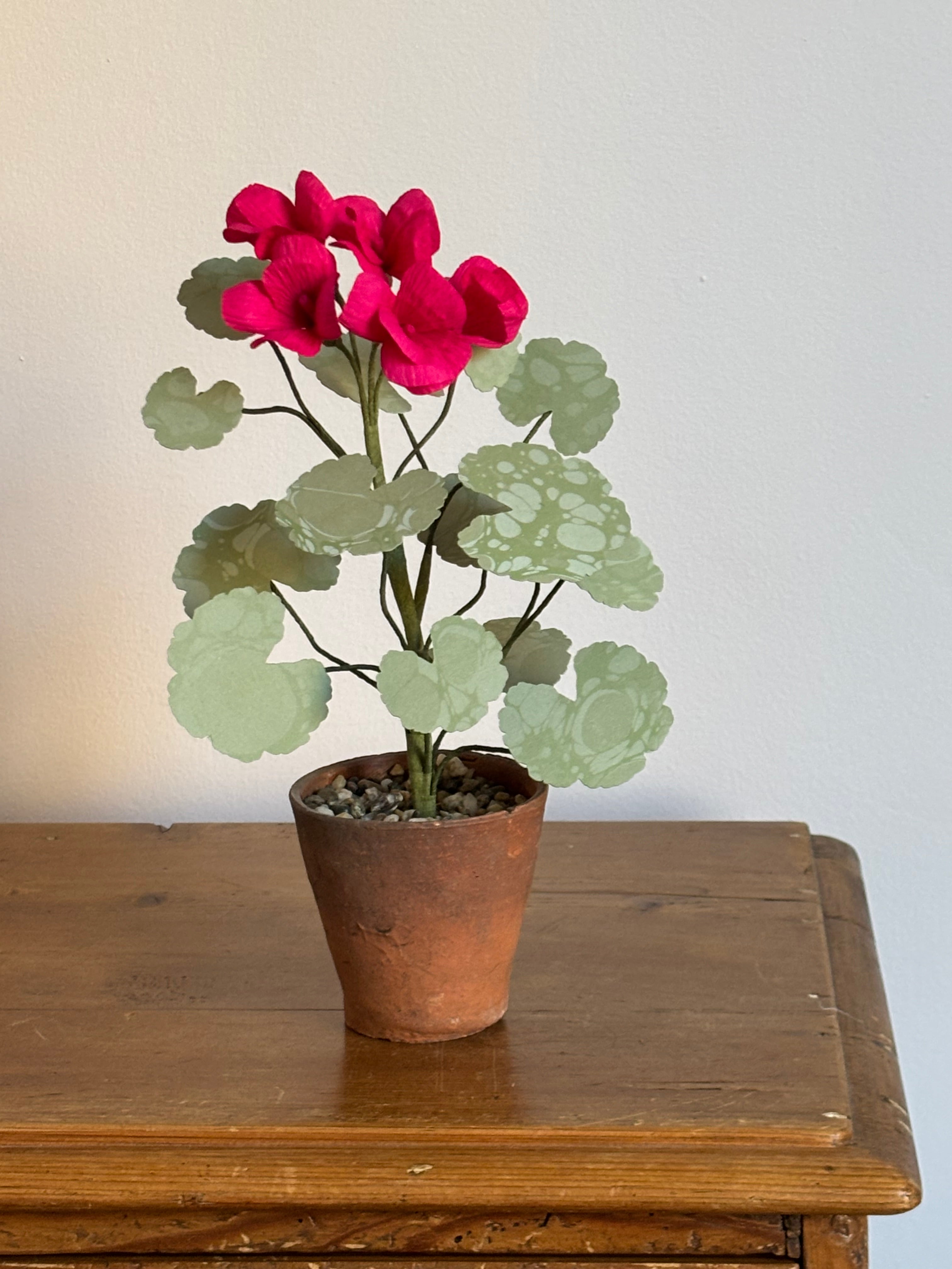 Paper Geranium