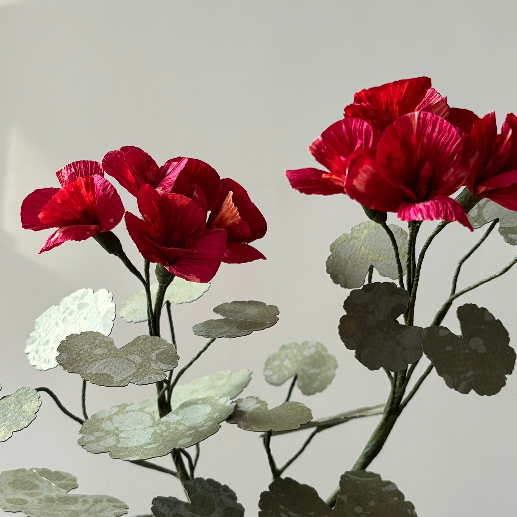 Paper Geranium