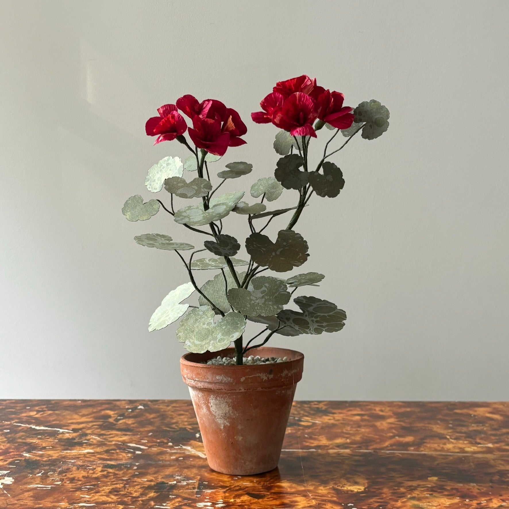 Paper Geranium