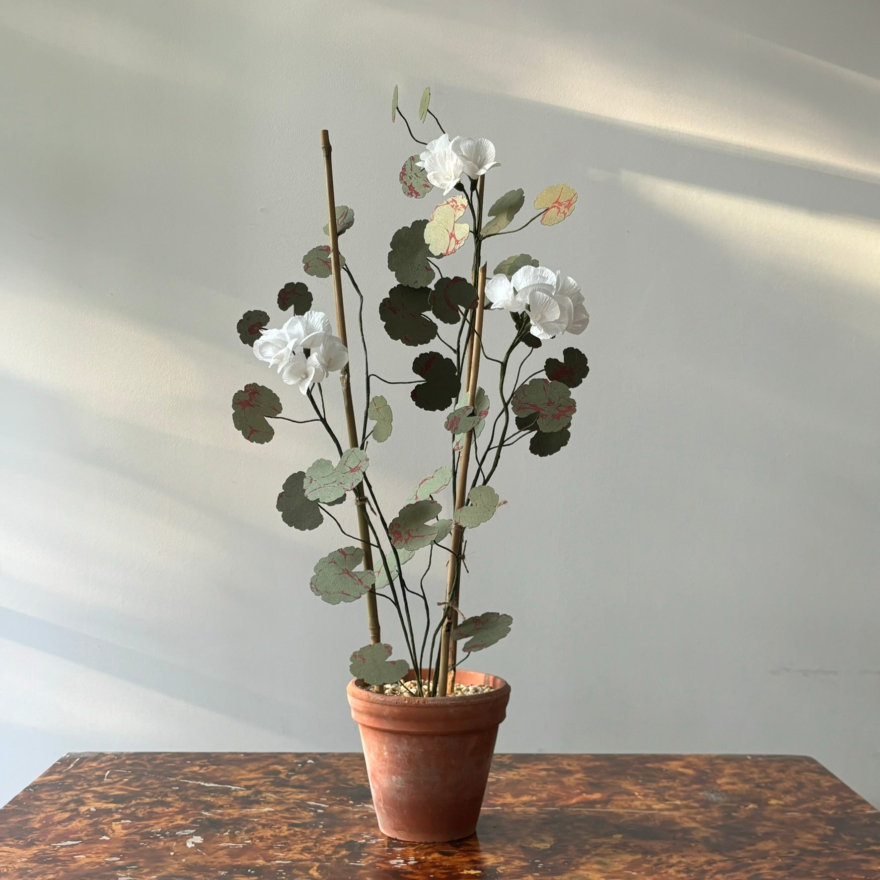Paper Geranium