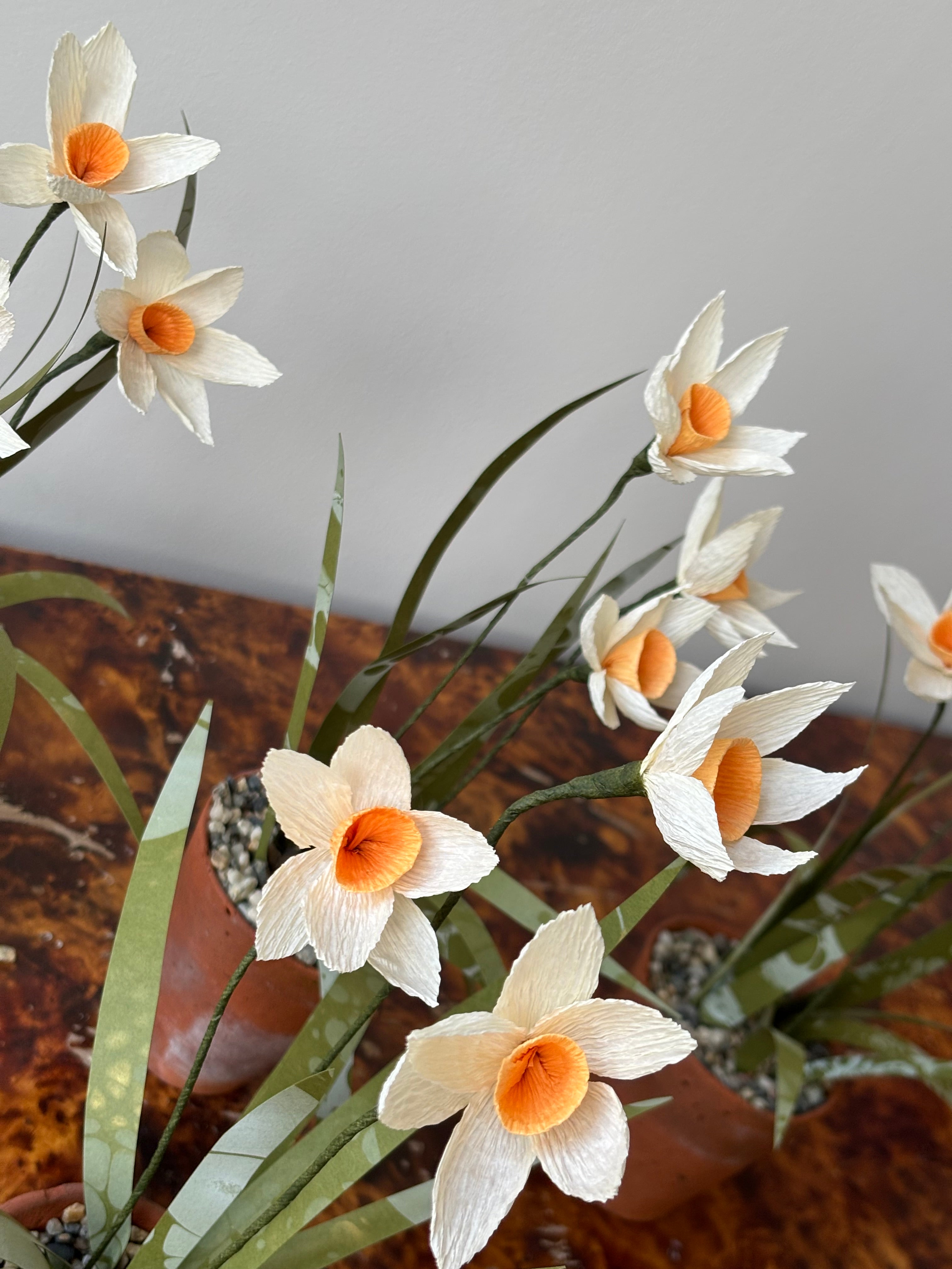 Paper Narcissus