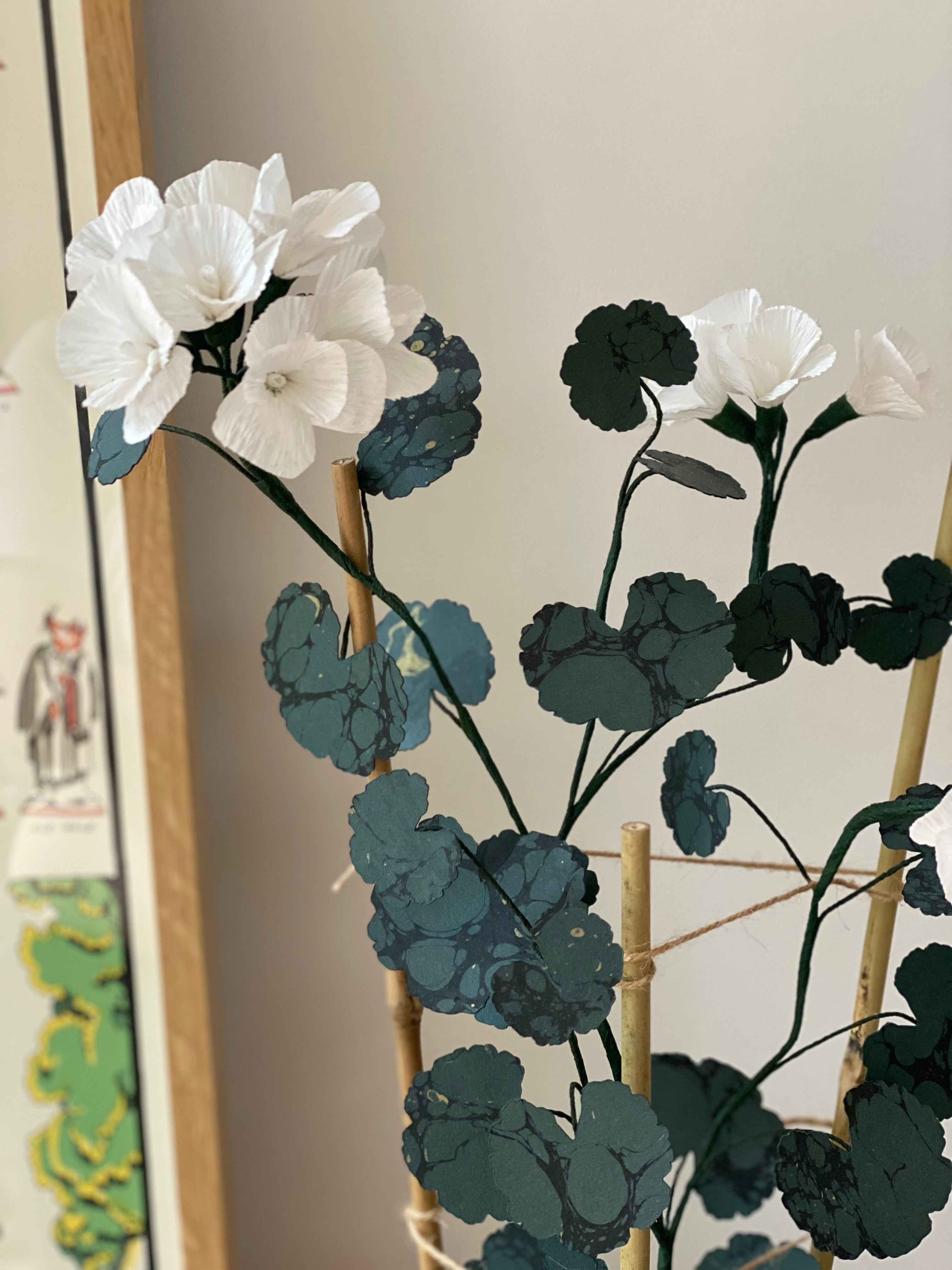 Paper Geranium