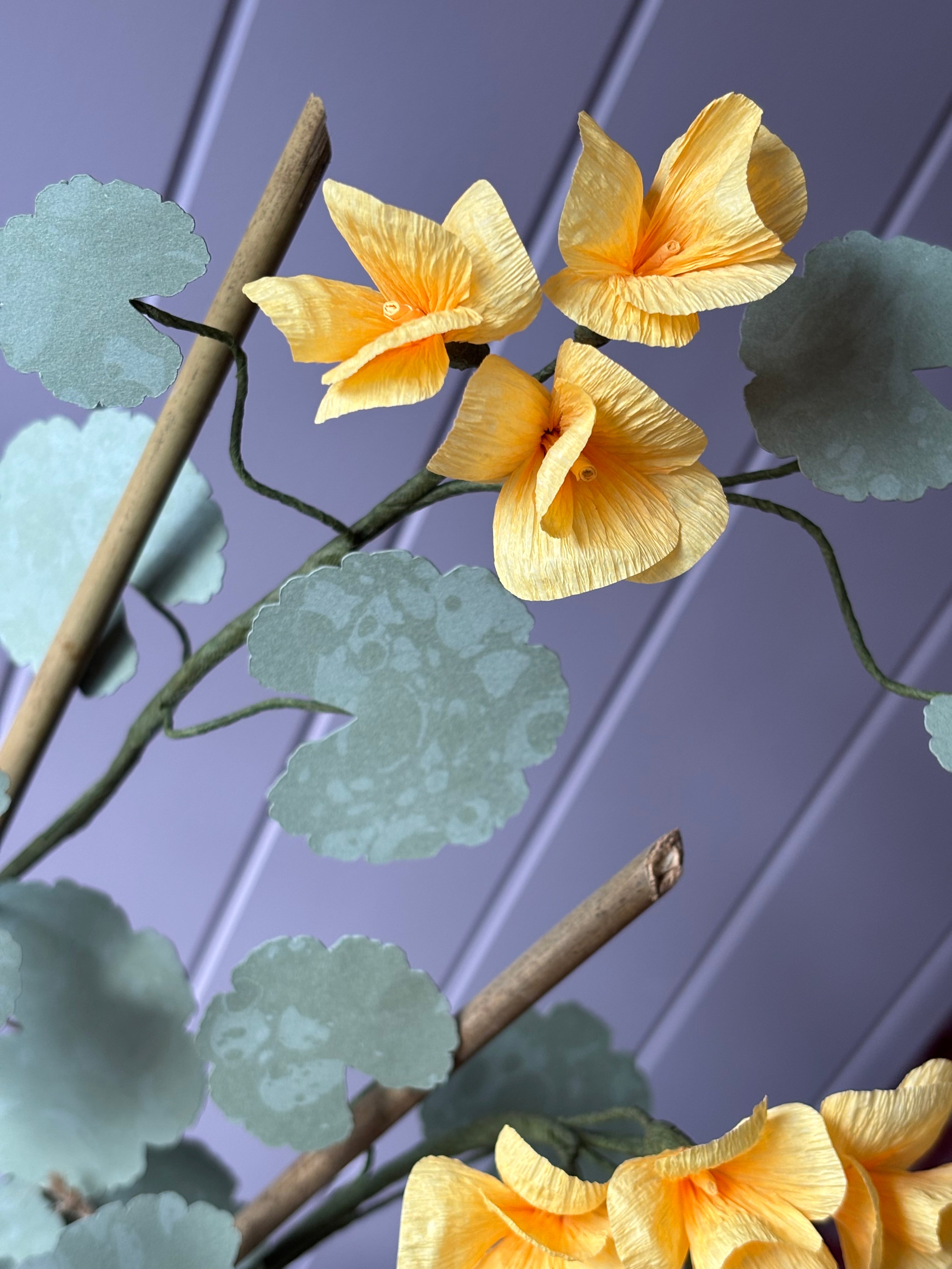 Paper geranium