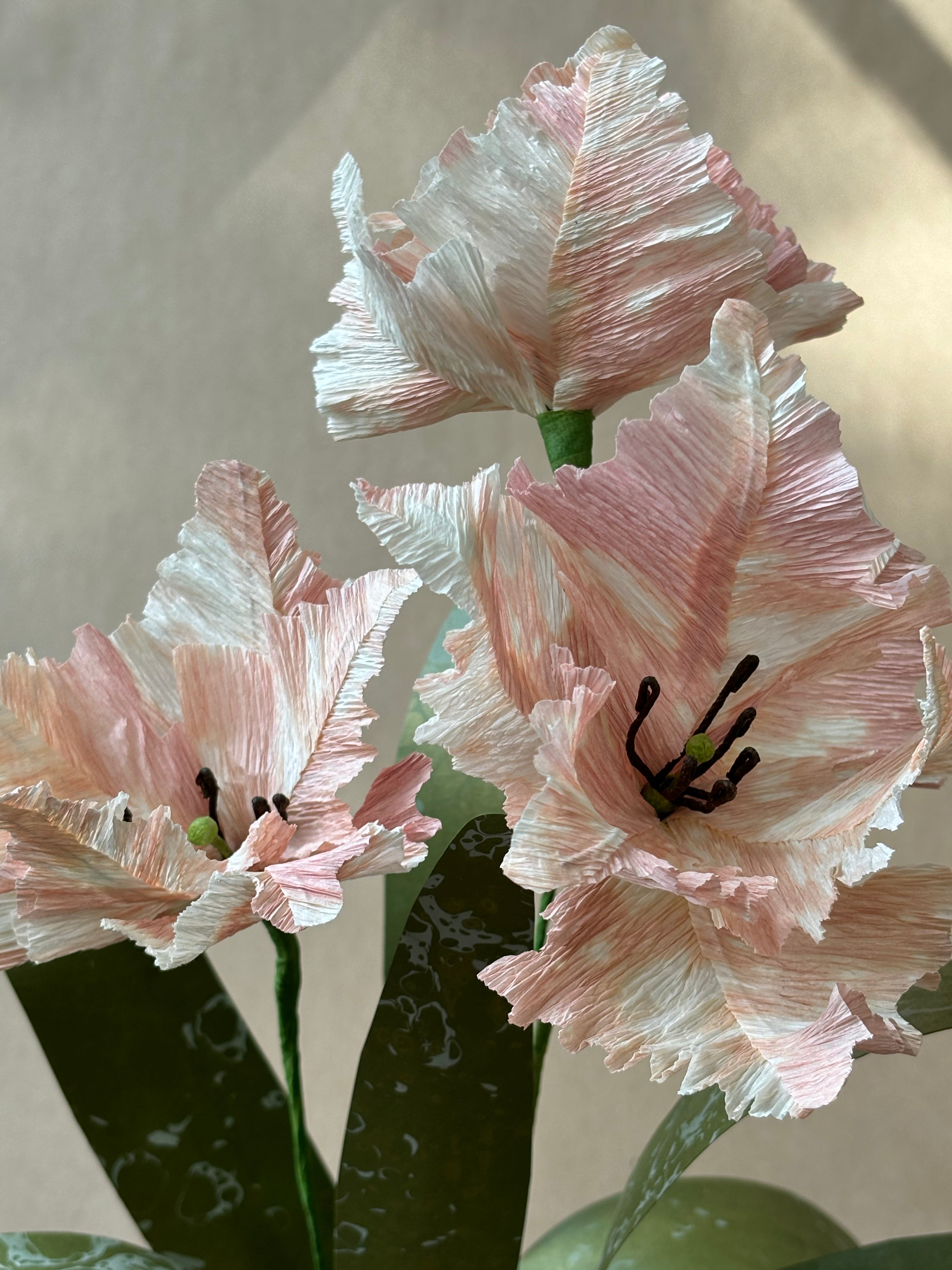 Parrot Tulip