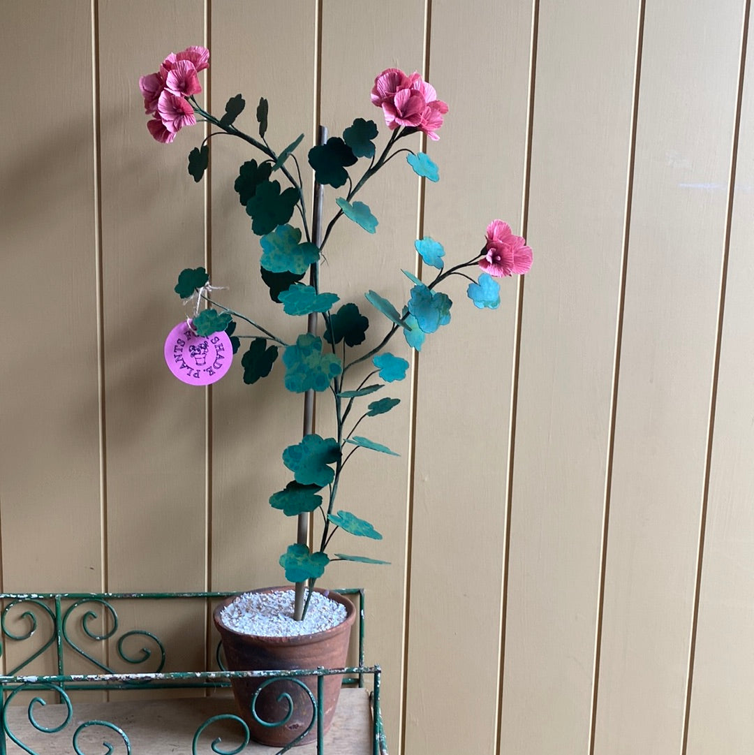 Paper Geranium