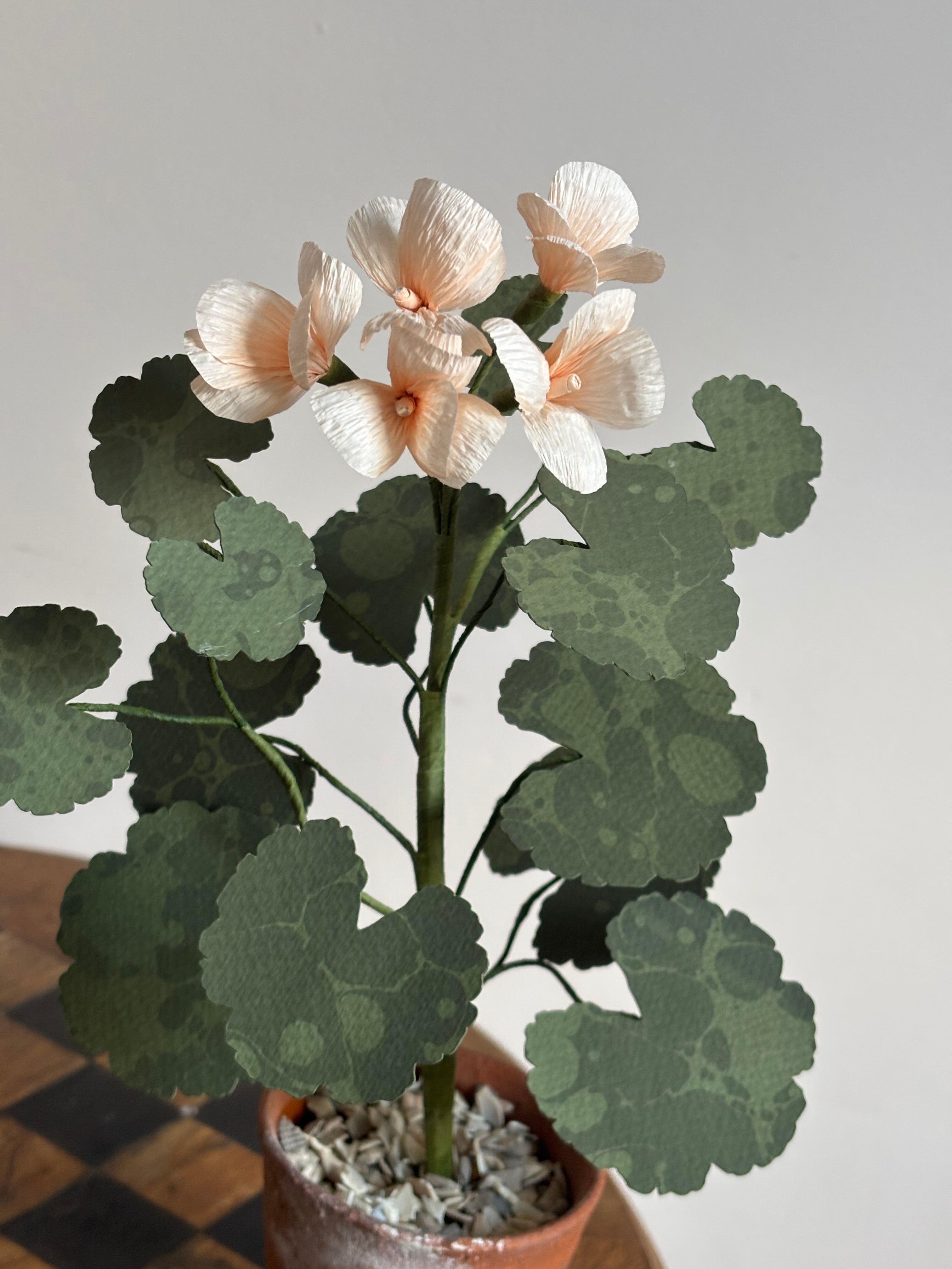Paper Geranium