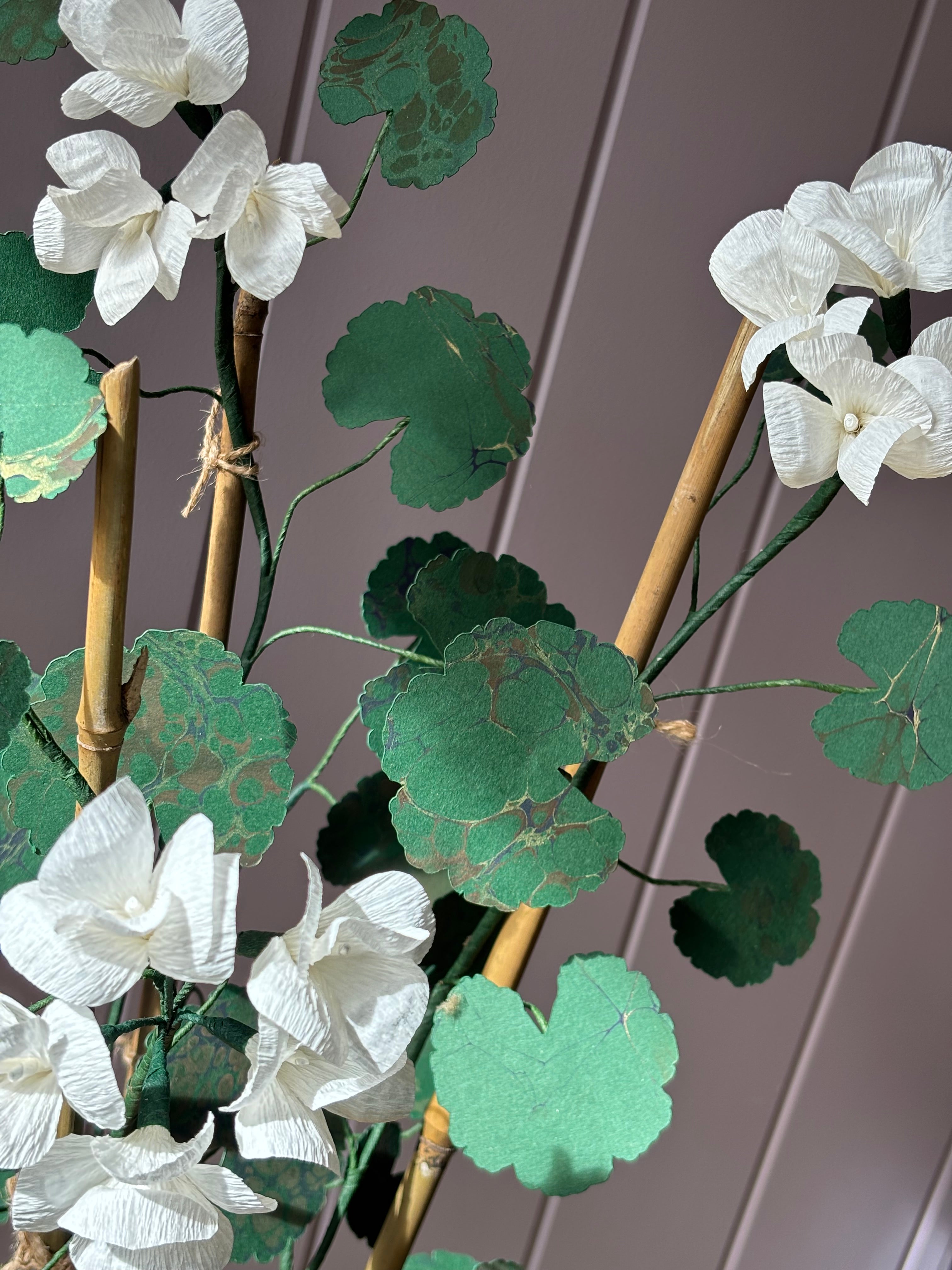 Paper geranium