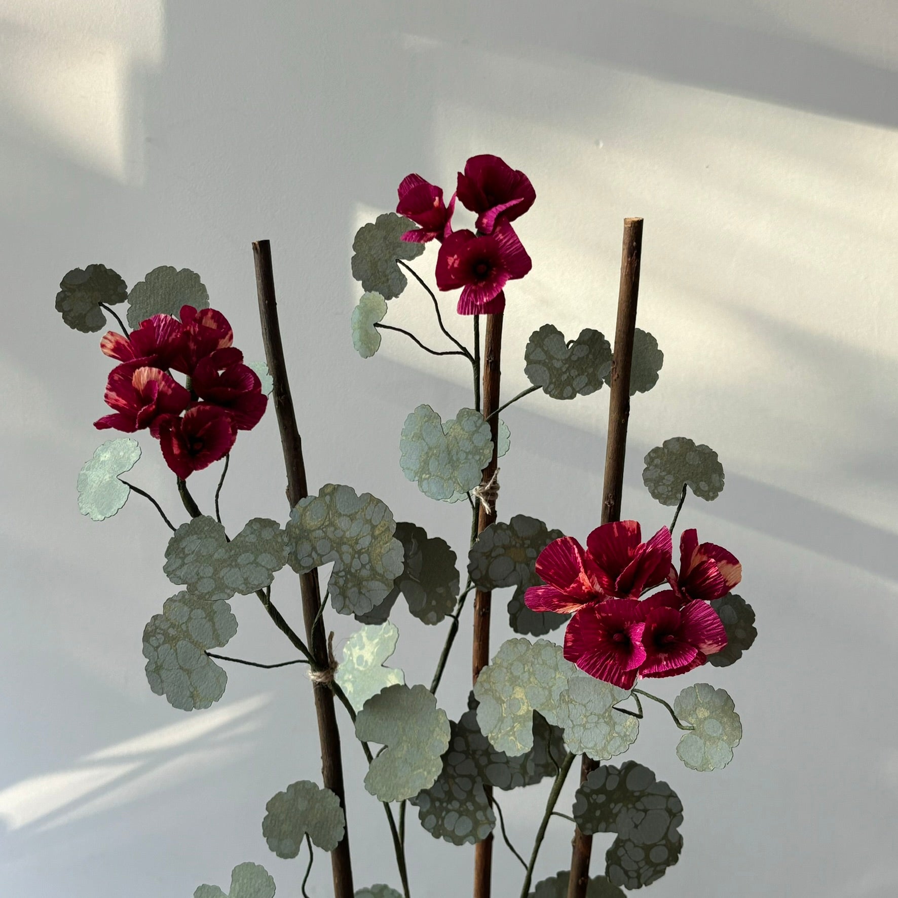 Paper Geranium