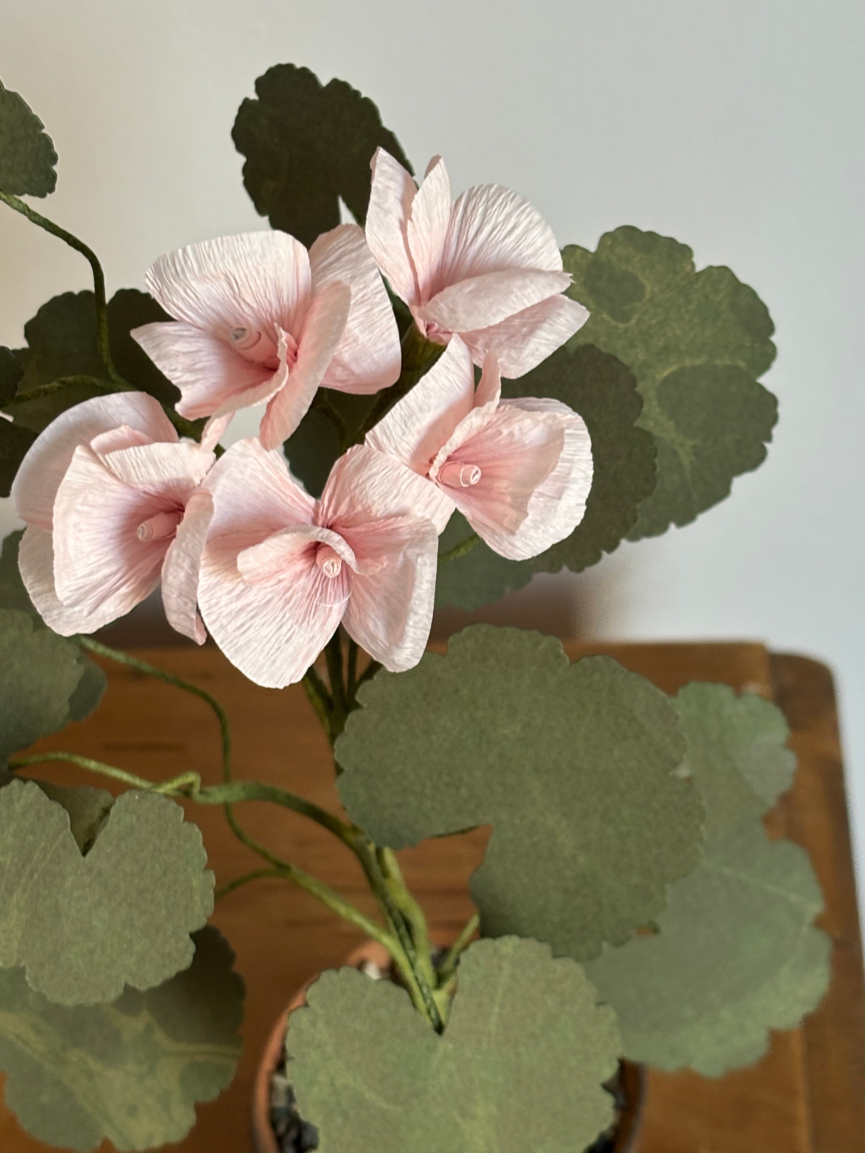 Paper Geranium
