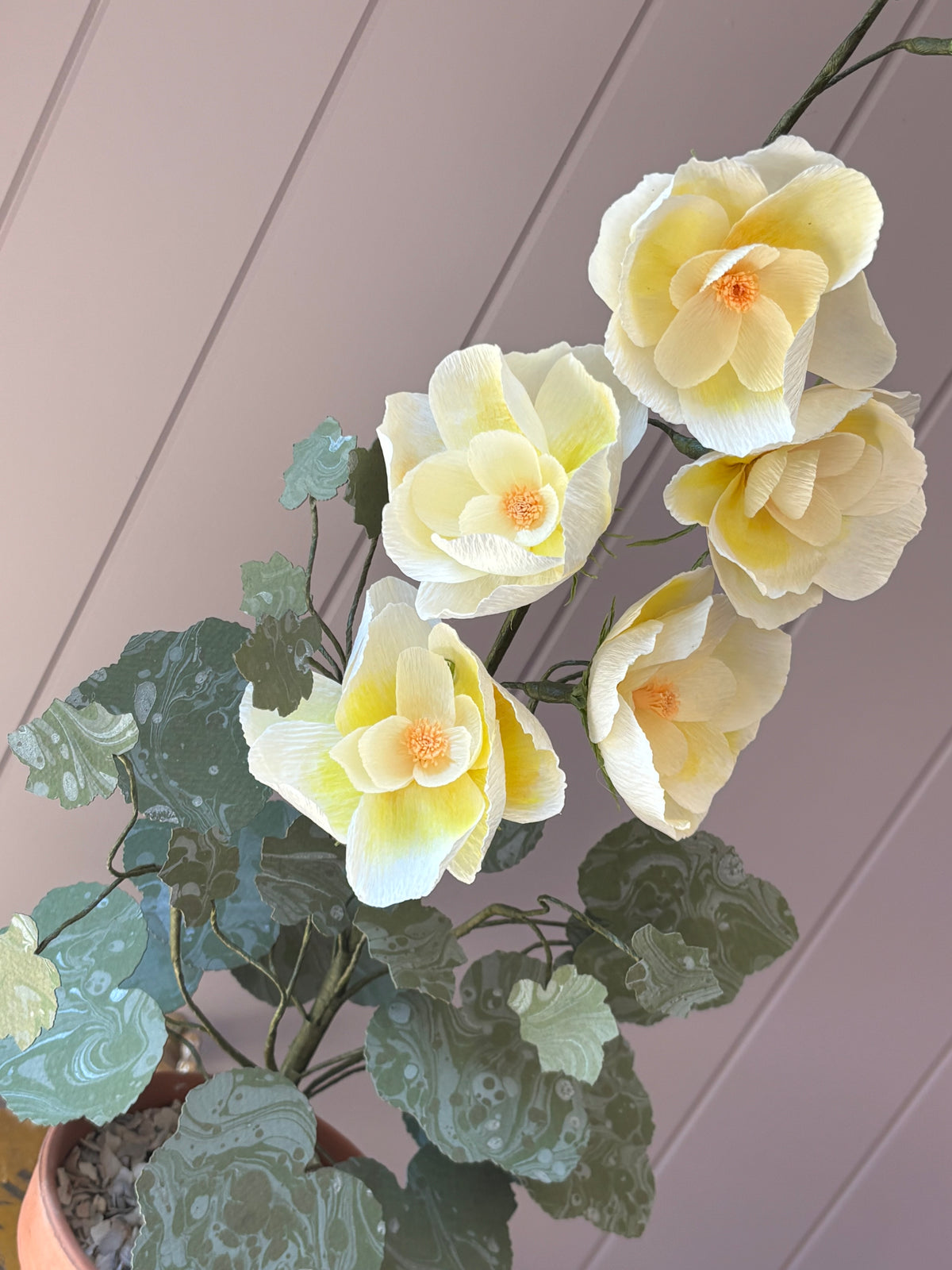 Paper Hollyhock