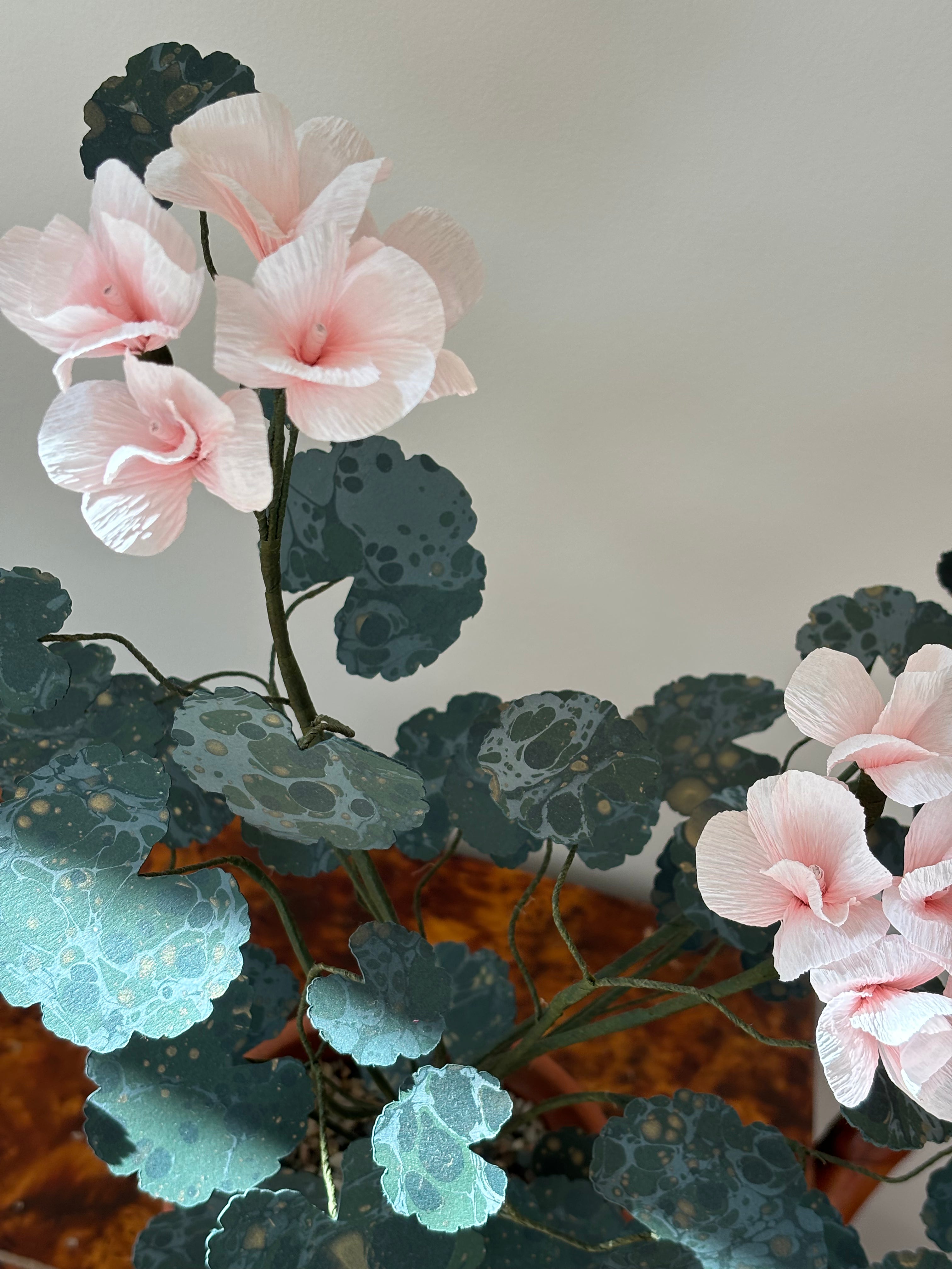 Paper Geranium