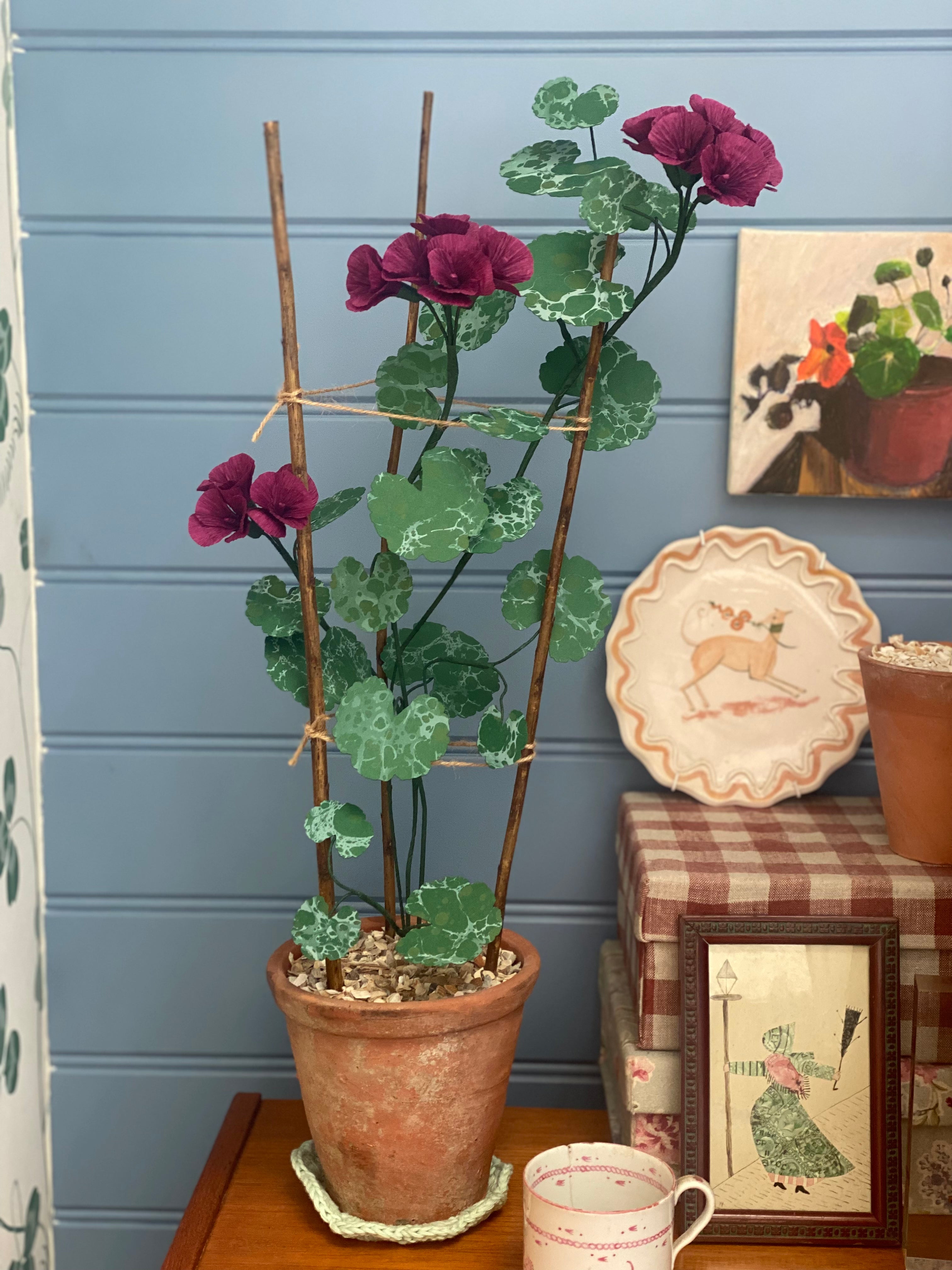 Paper Geranium