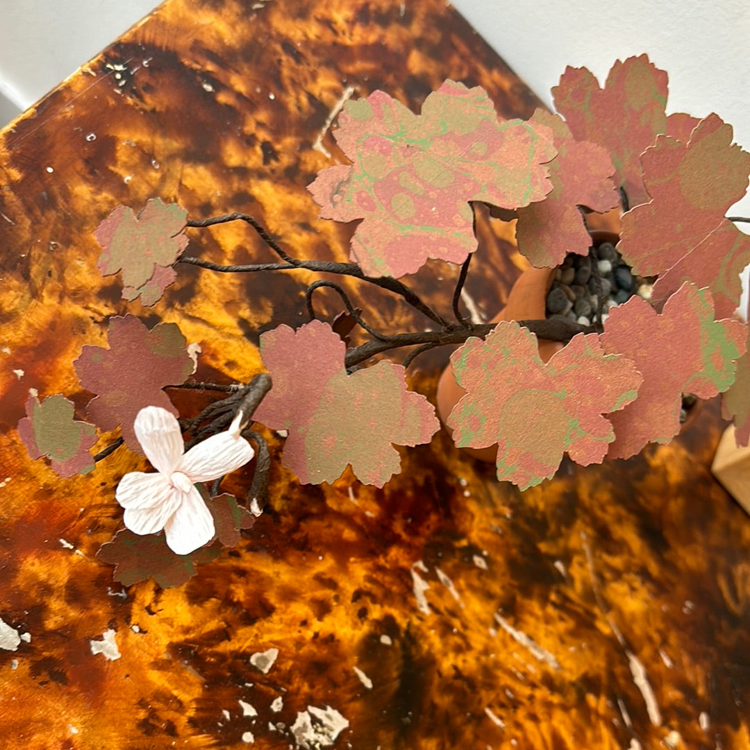 Paper Geranium