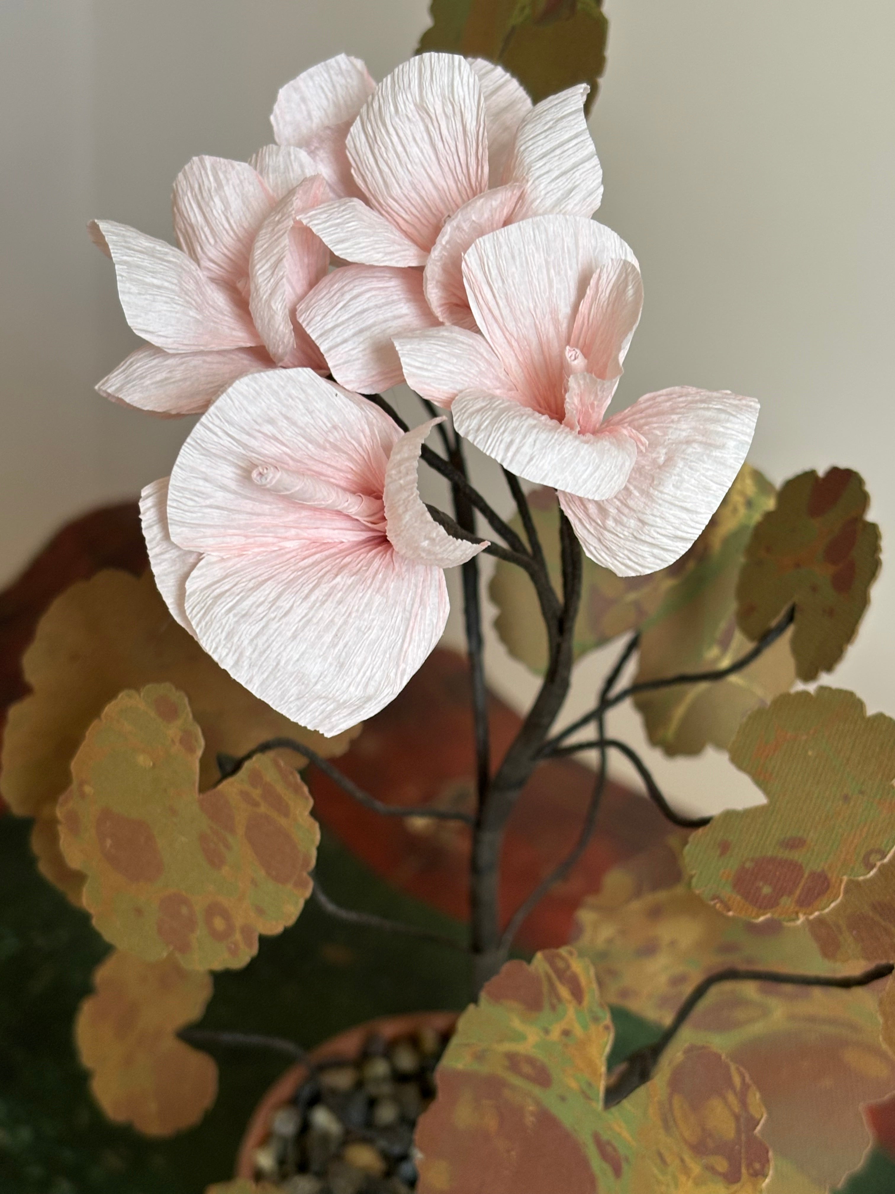 Paper Geranium