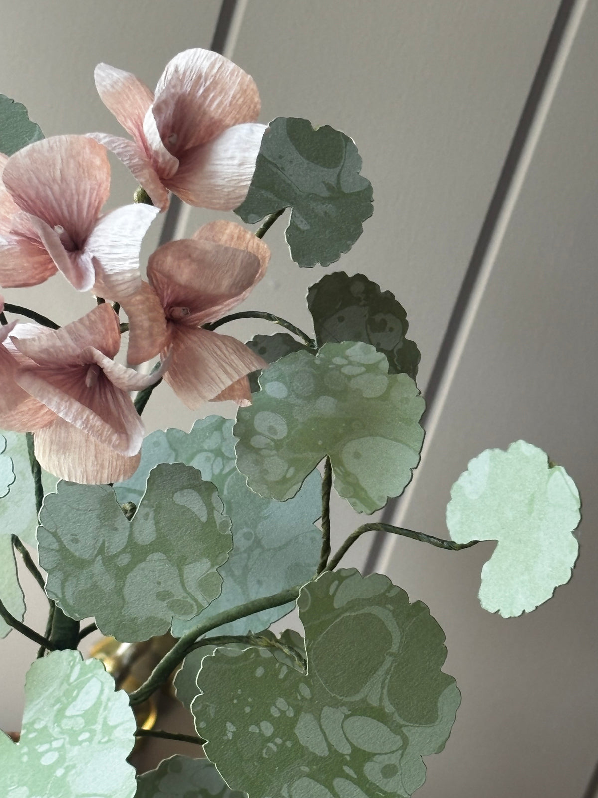Paper geranium