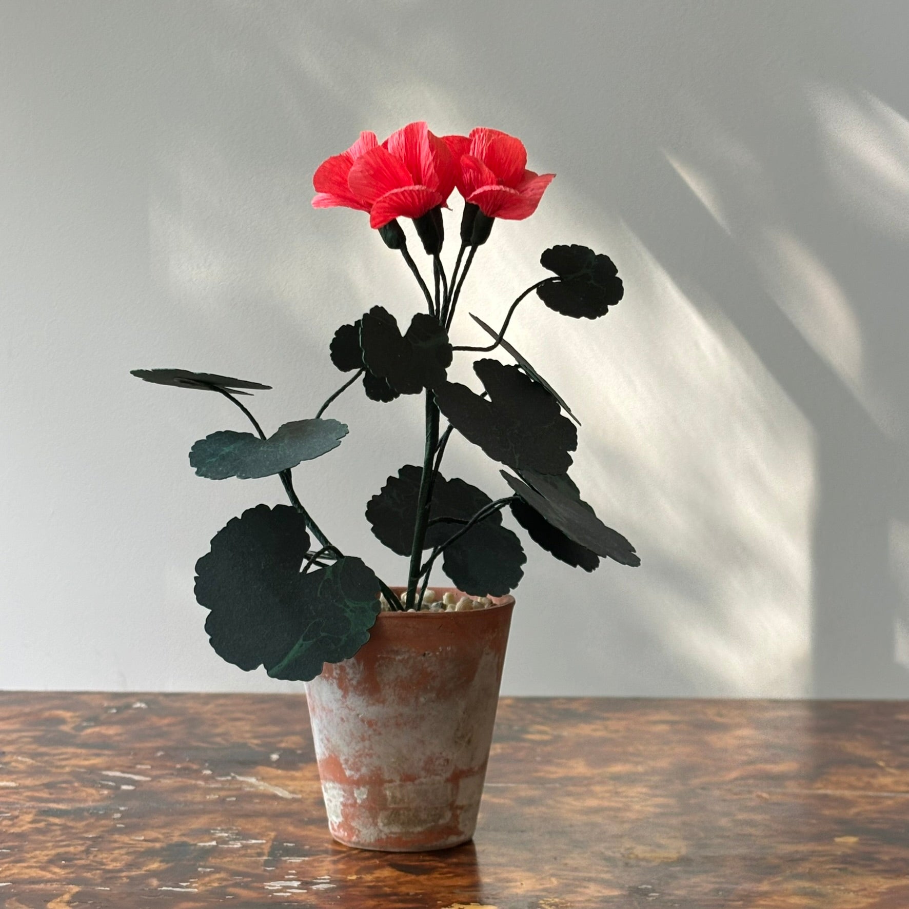 Paper Geranium