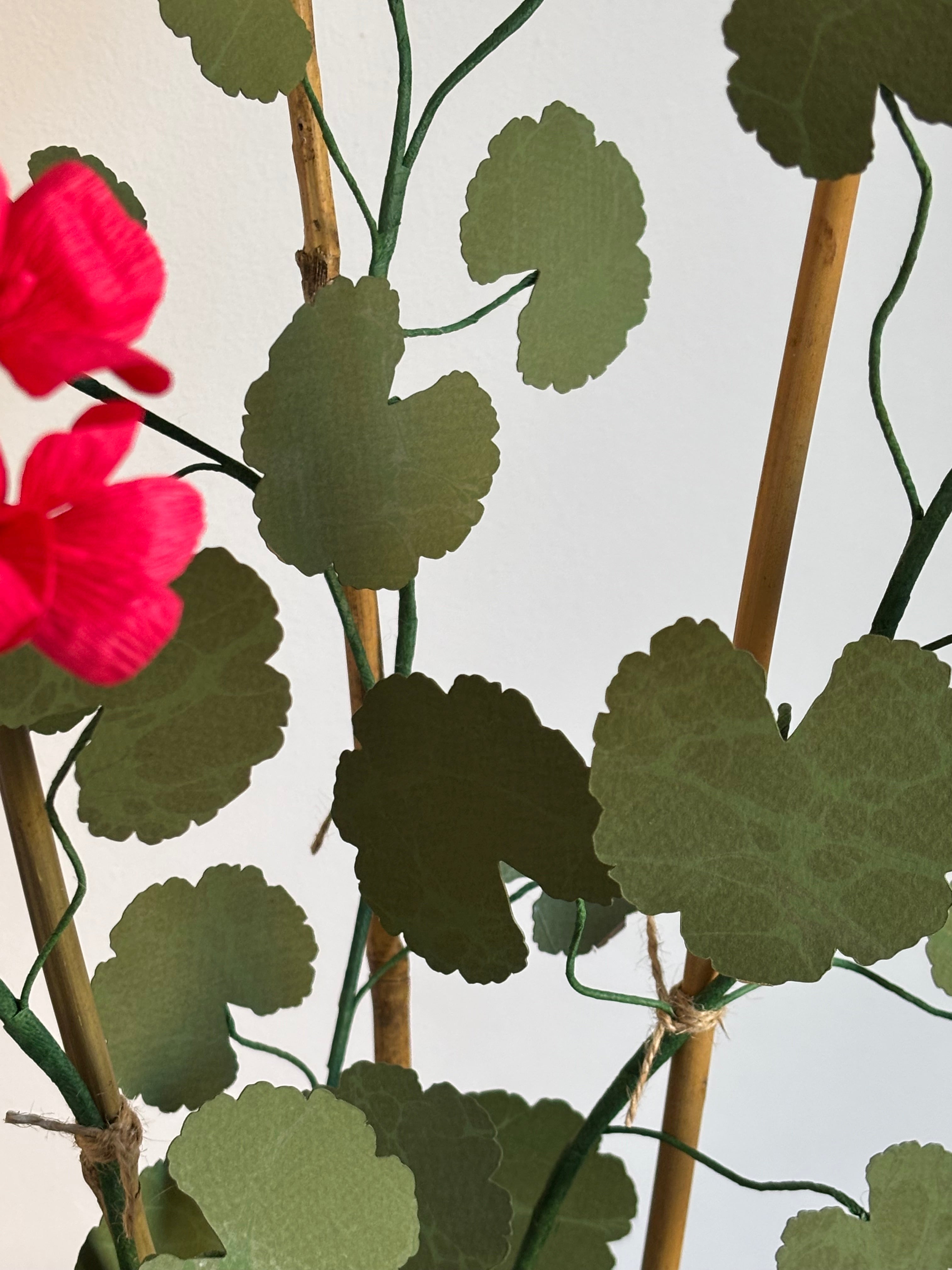 Paper Geranium