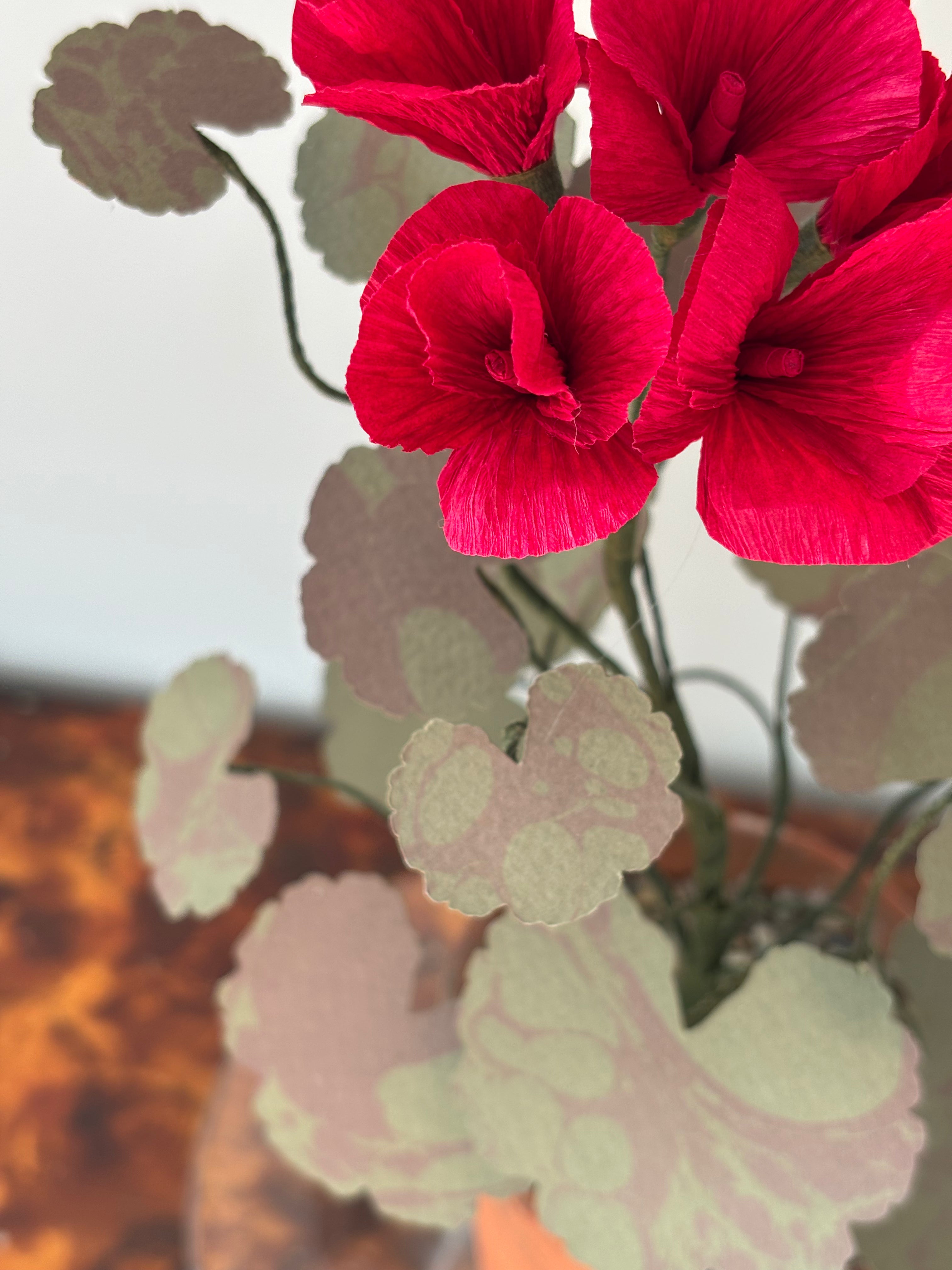 Paper Geranium