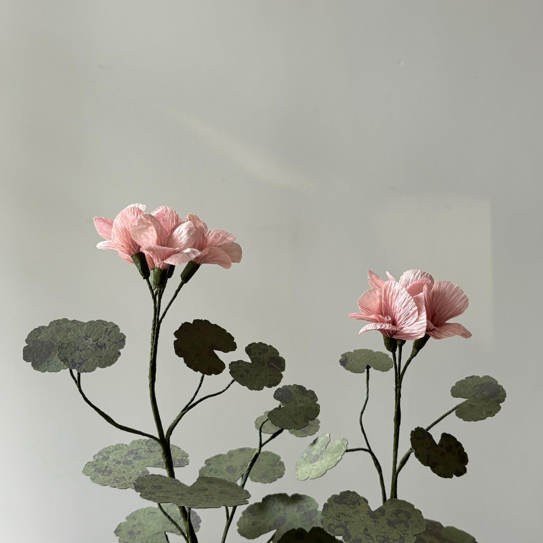Paper Geranium